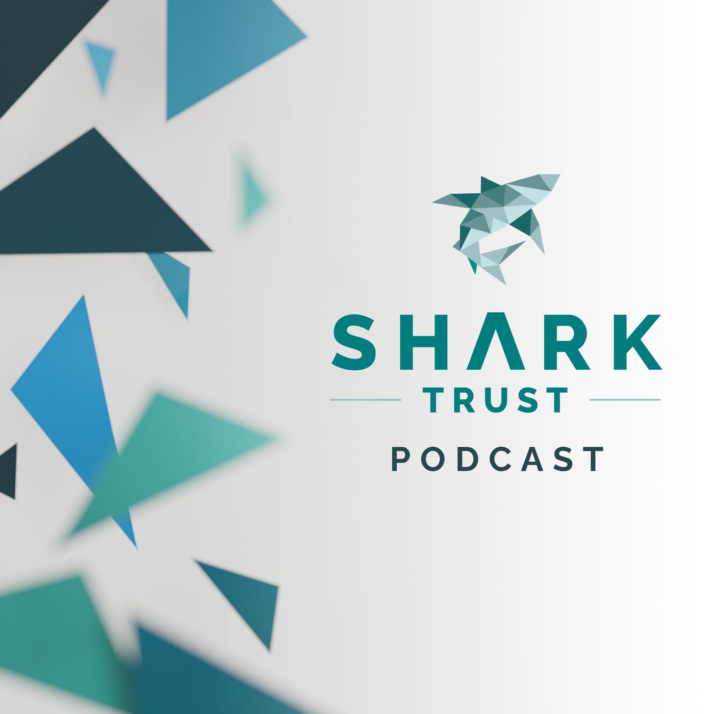 The World of Oceanic Sharks and Rays and how to save them! with Ali Hood episode artwork