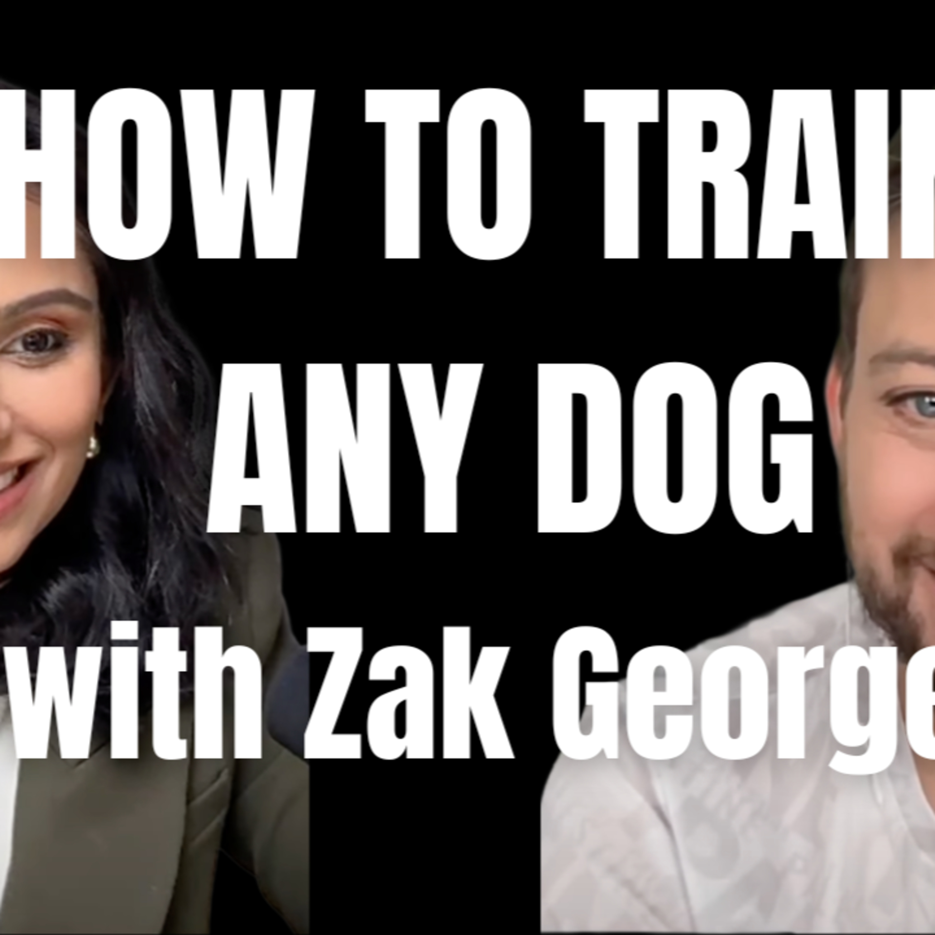 How to train your dog? Tips & Tricks with Zak George episode artwork