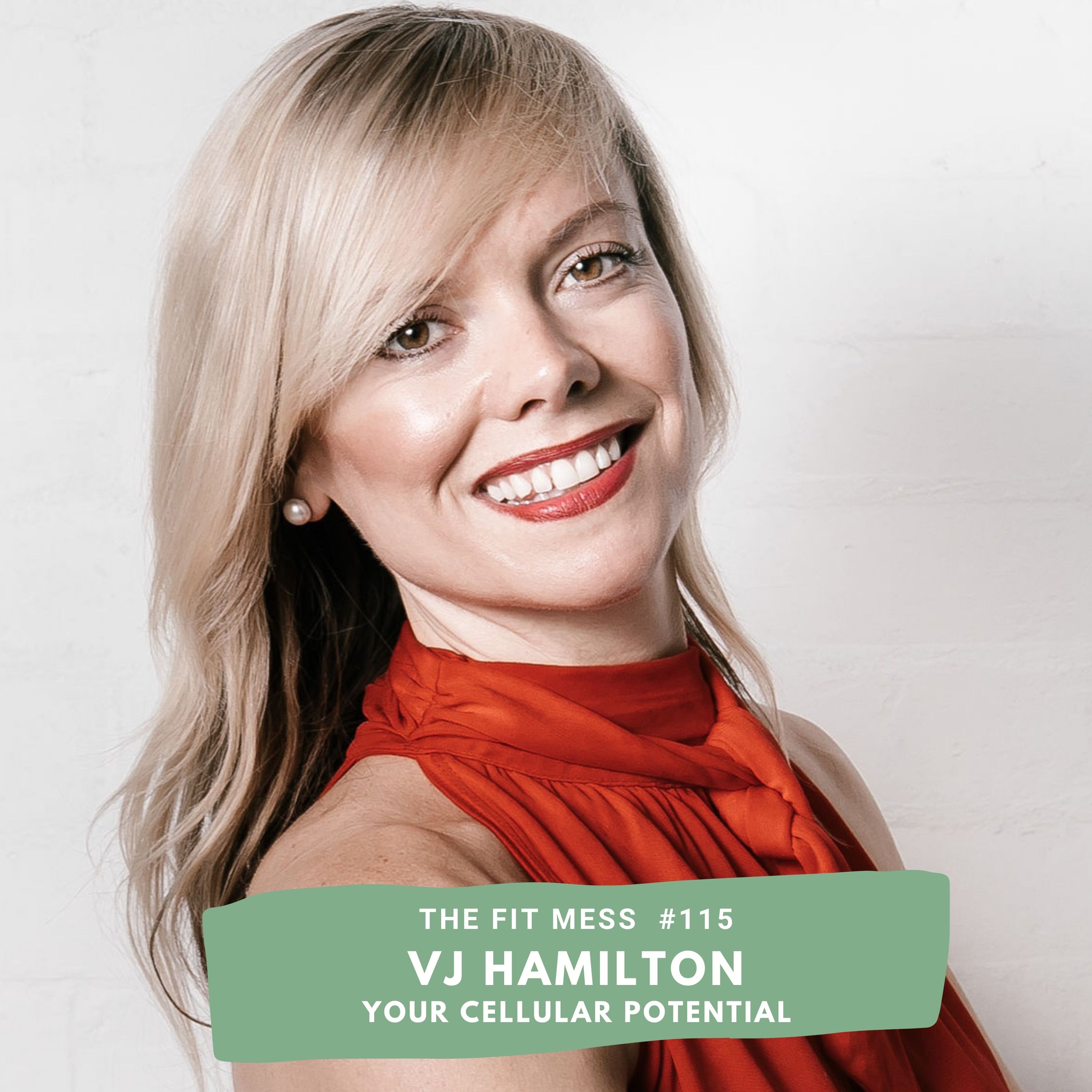 115. How Focusing on Big Health Changes Distracts You from Your Cellular Potential with VJ Hamilton