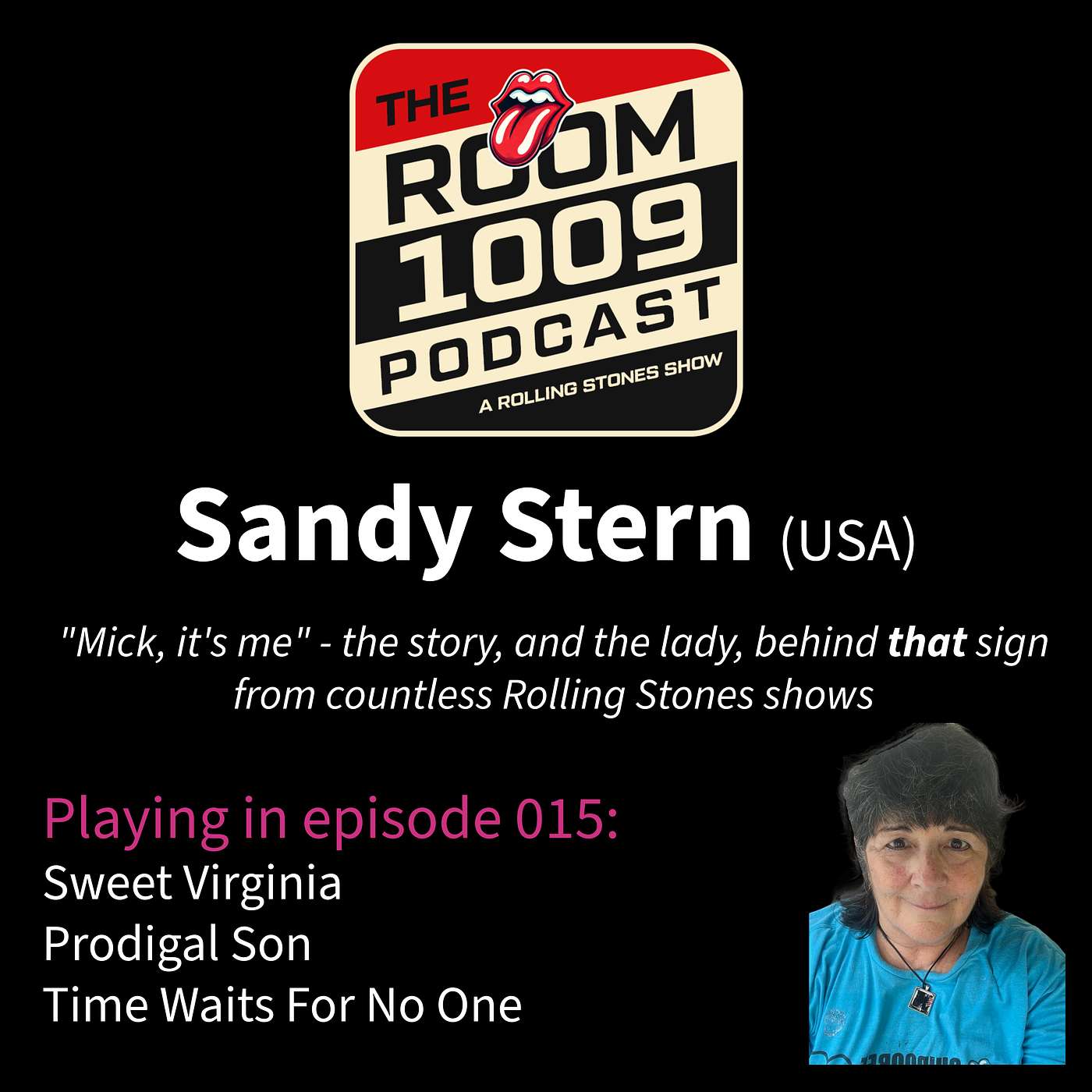 Episode 015 - Sandy Stern episode artwork