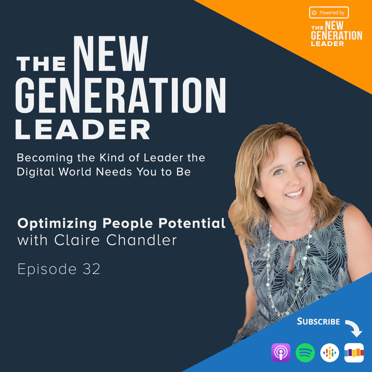 Optimizing People Potential for Peak Performance and Retention episode artwork