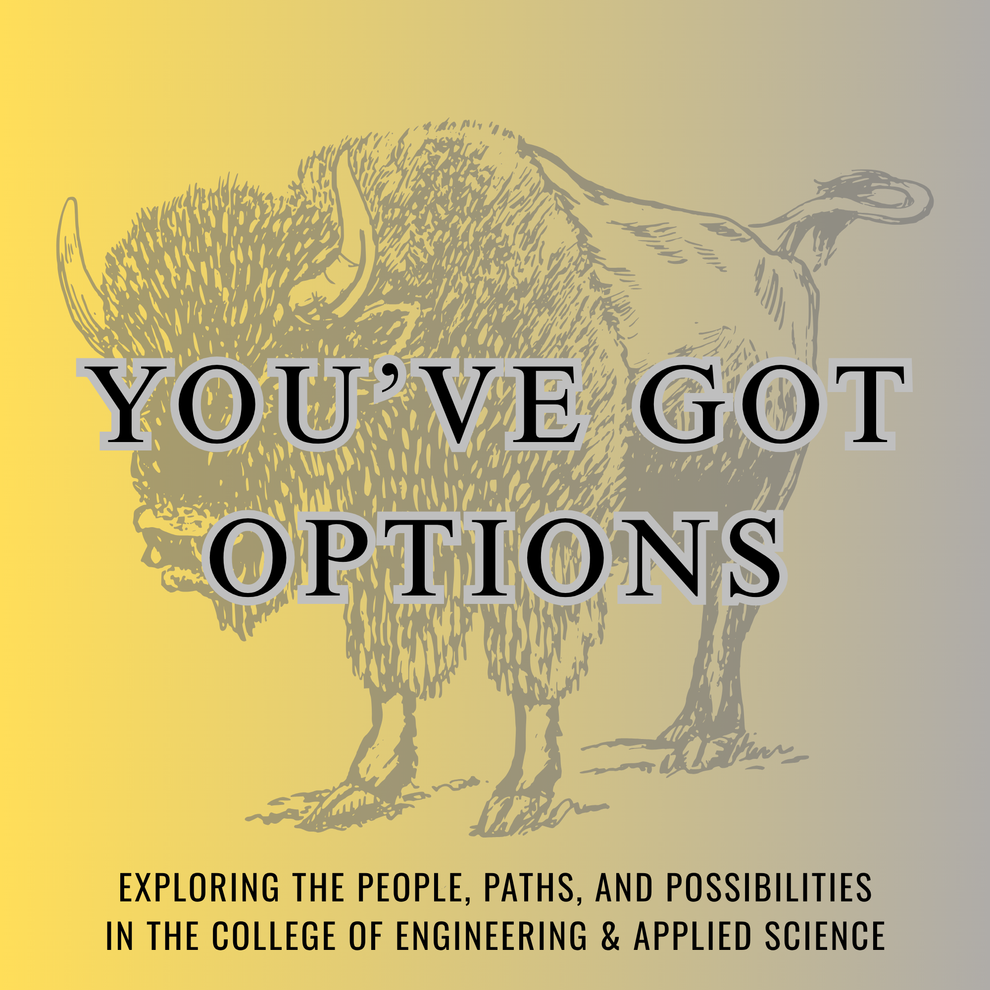 You've Got Options