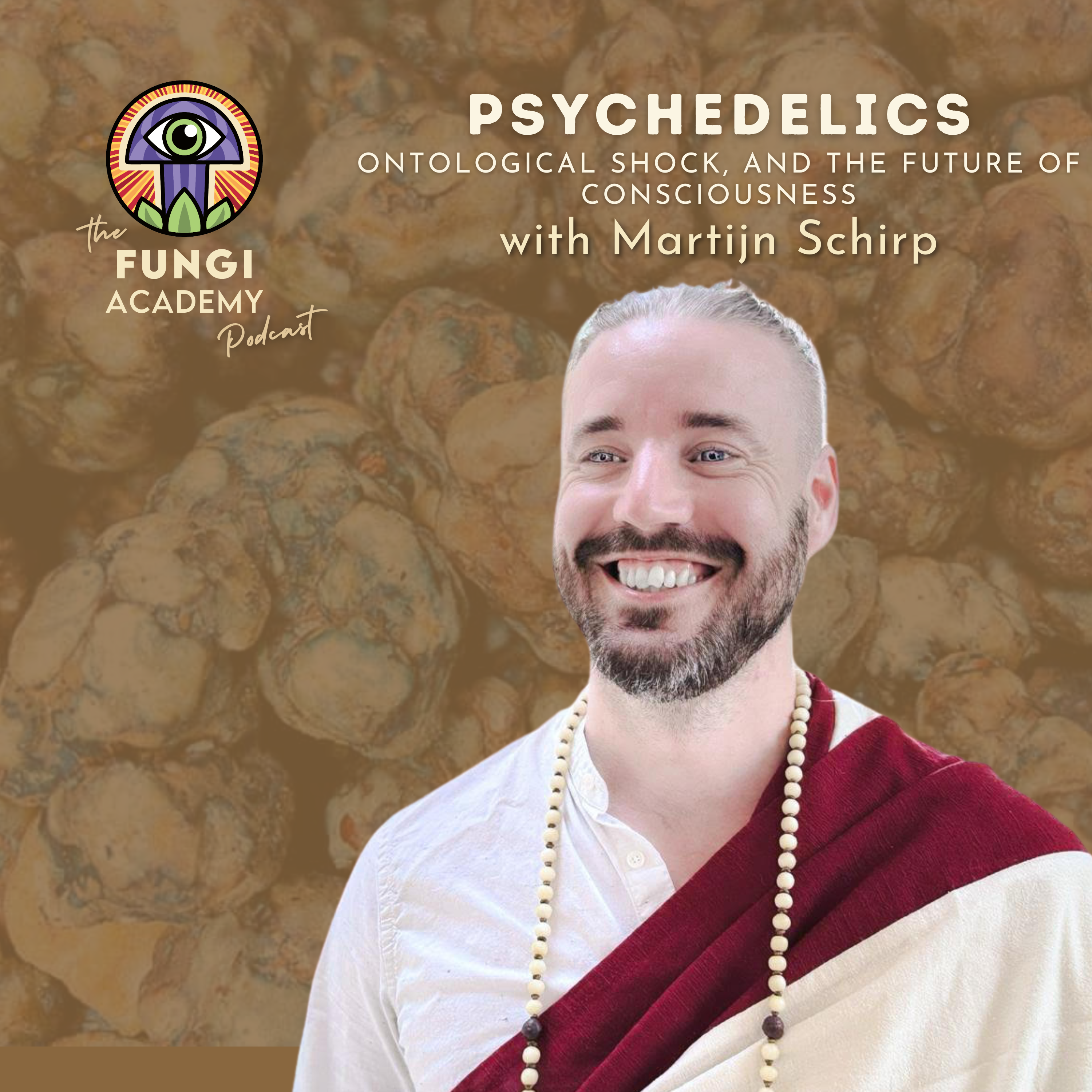 Psychedelics, Ontological Shock, and the Future of Consciousness with Martijn Schirp episode artwork