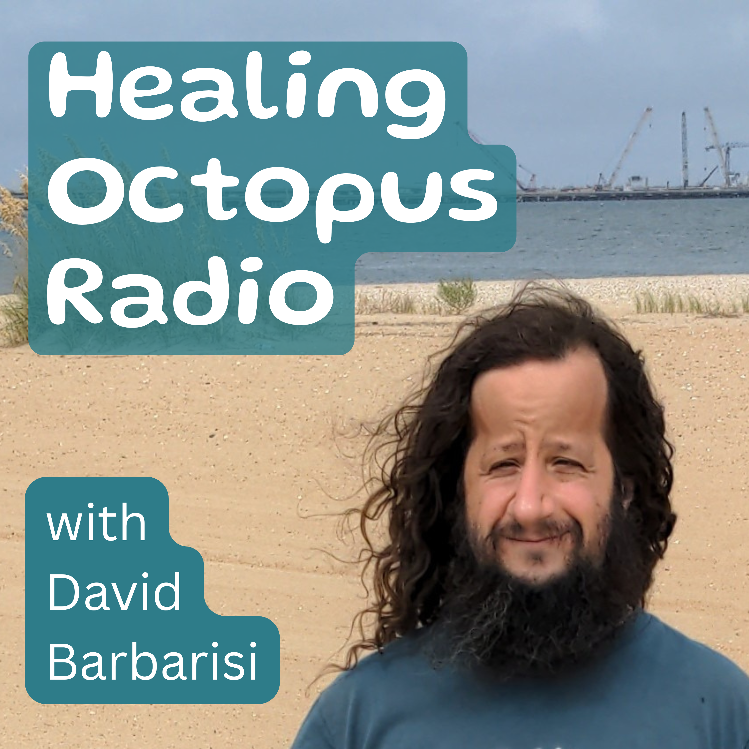 Healing Octopus Radio podcast artwork