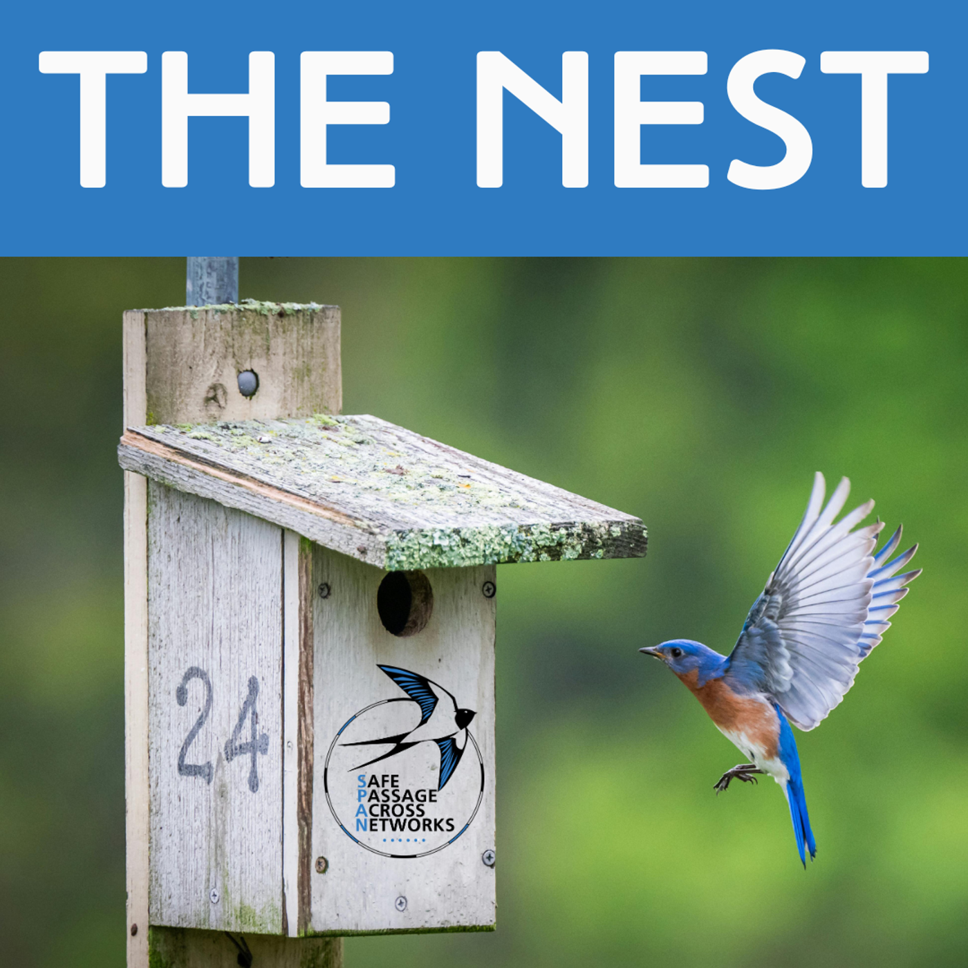 The Nest, from Safe Passage Across Networks (SPAN) podcast artwork