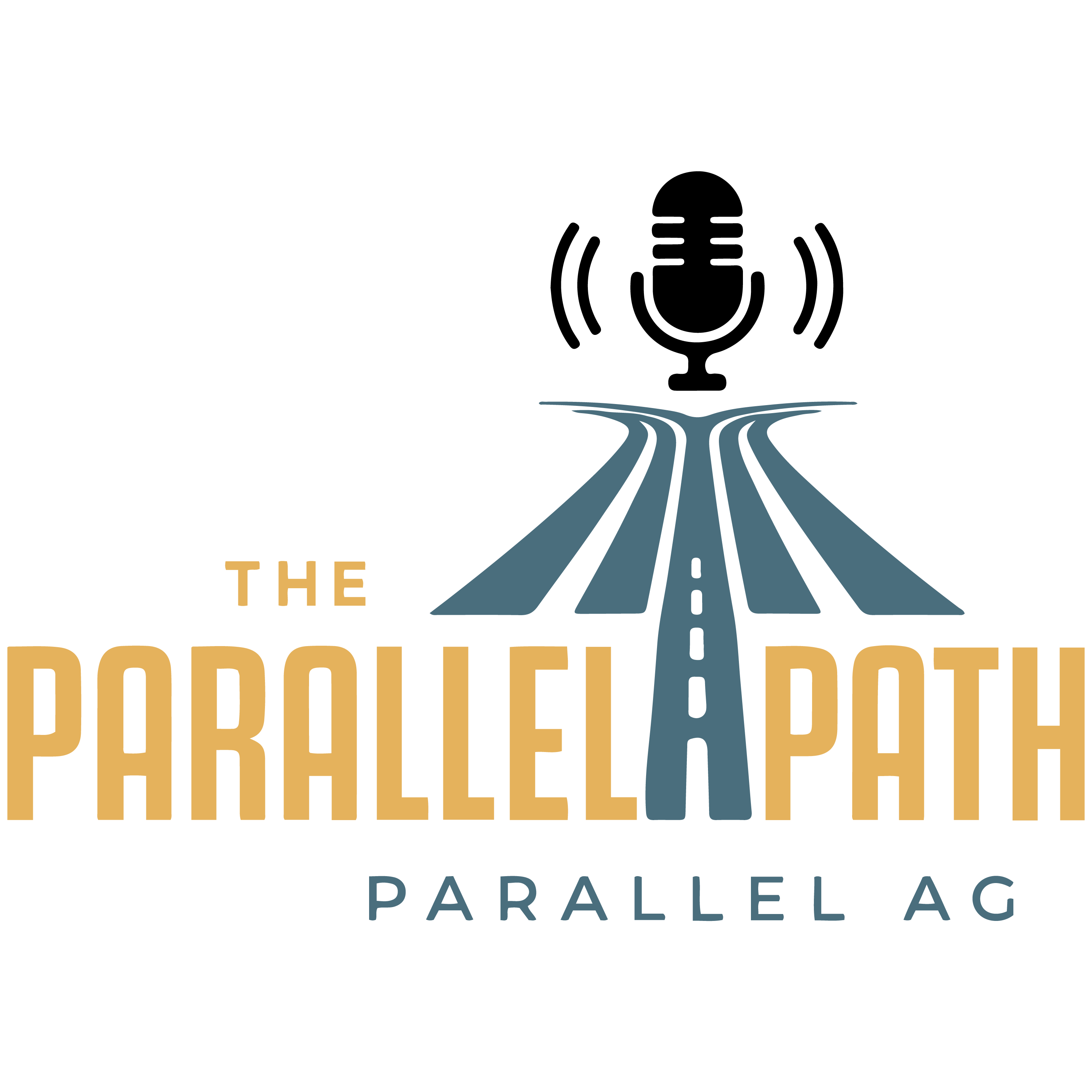 The Parallel Path