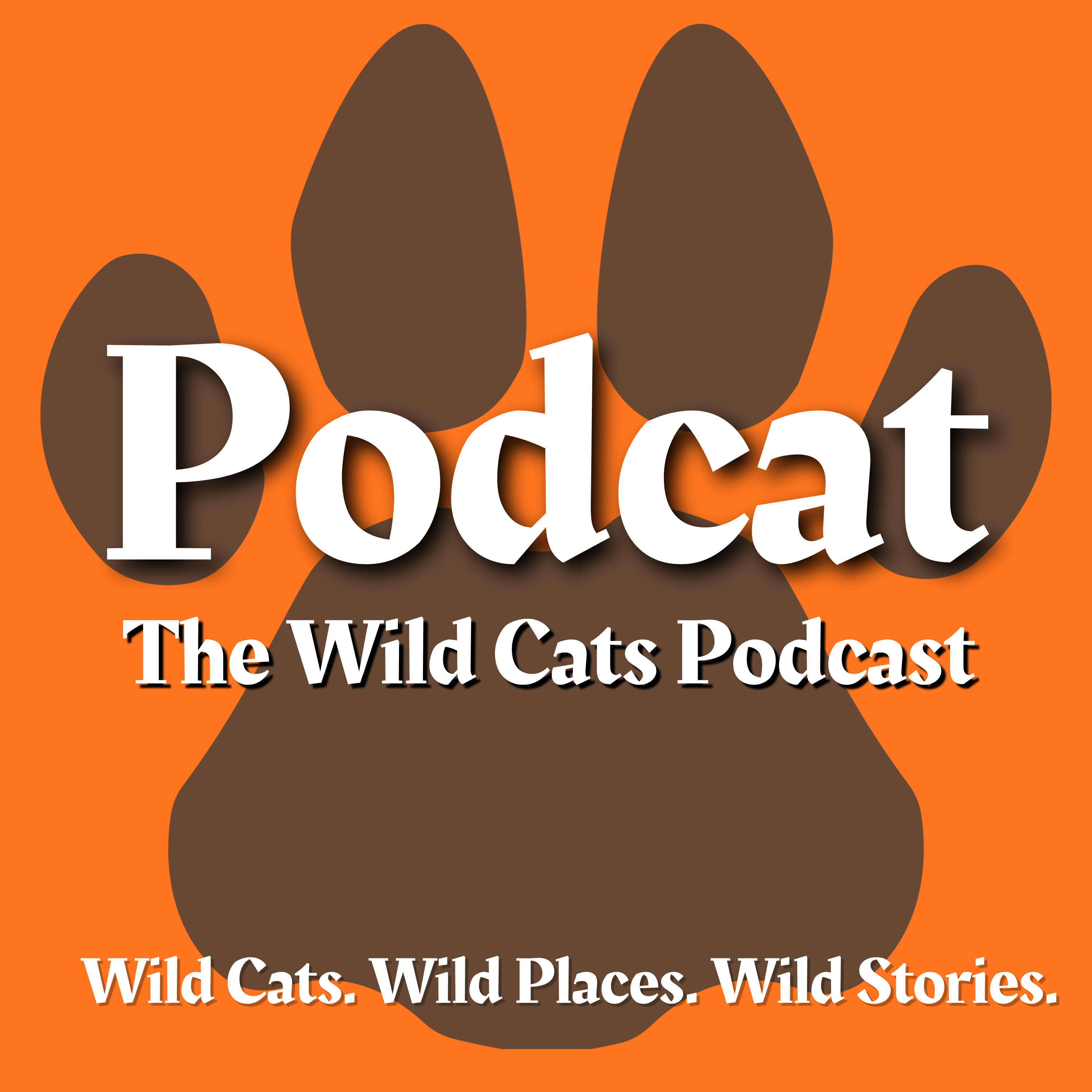 Podcat: The Wild Cats Podcast