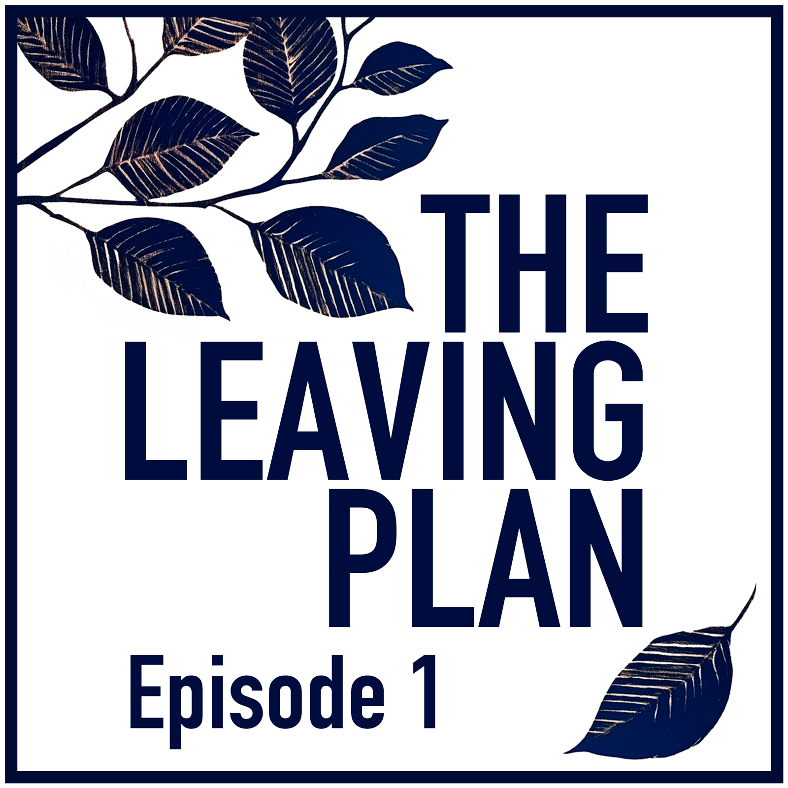 The Leaving Plan