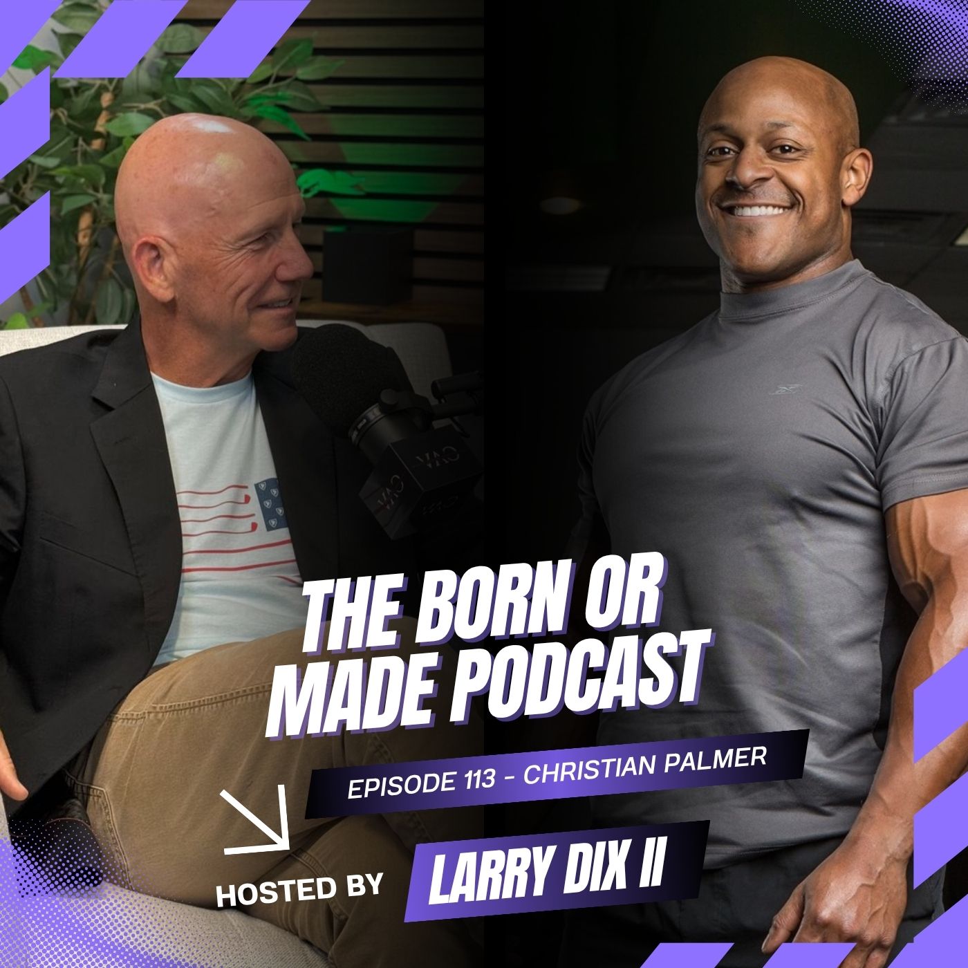 Ep. 113 - Shaping Up Your Body w/Christian Palmer episode artwork