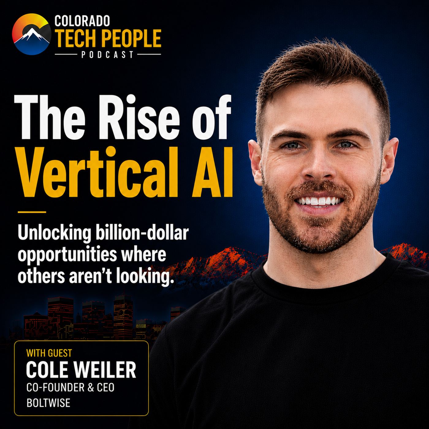 The Rise of Vertical AL: Unlocking Billion Dollar Opportunities Where Others Aren't Looking episode artwork