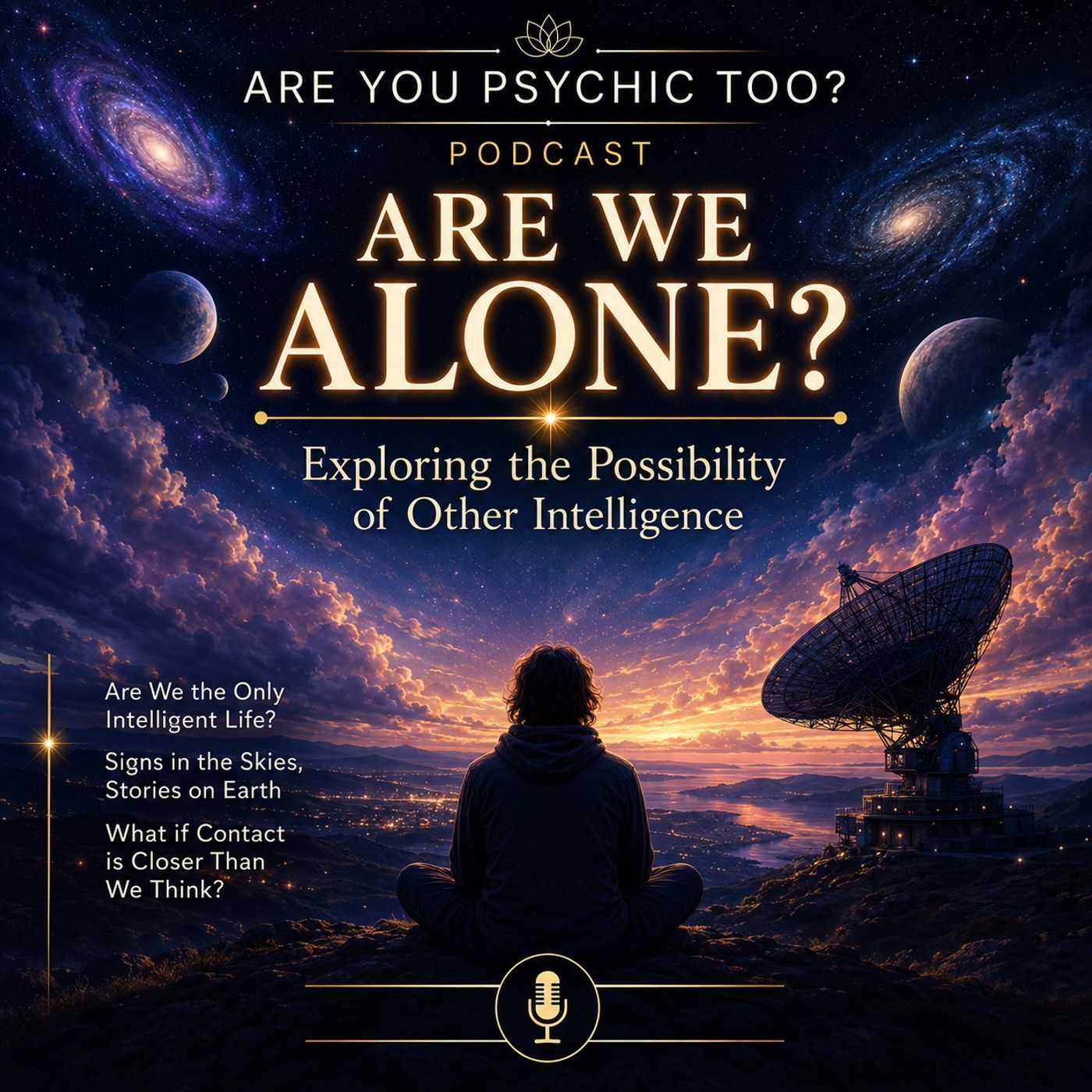Are We Alone? Aliens, Consciousness & the Possibility of Contact episode artwork