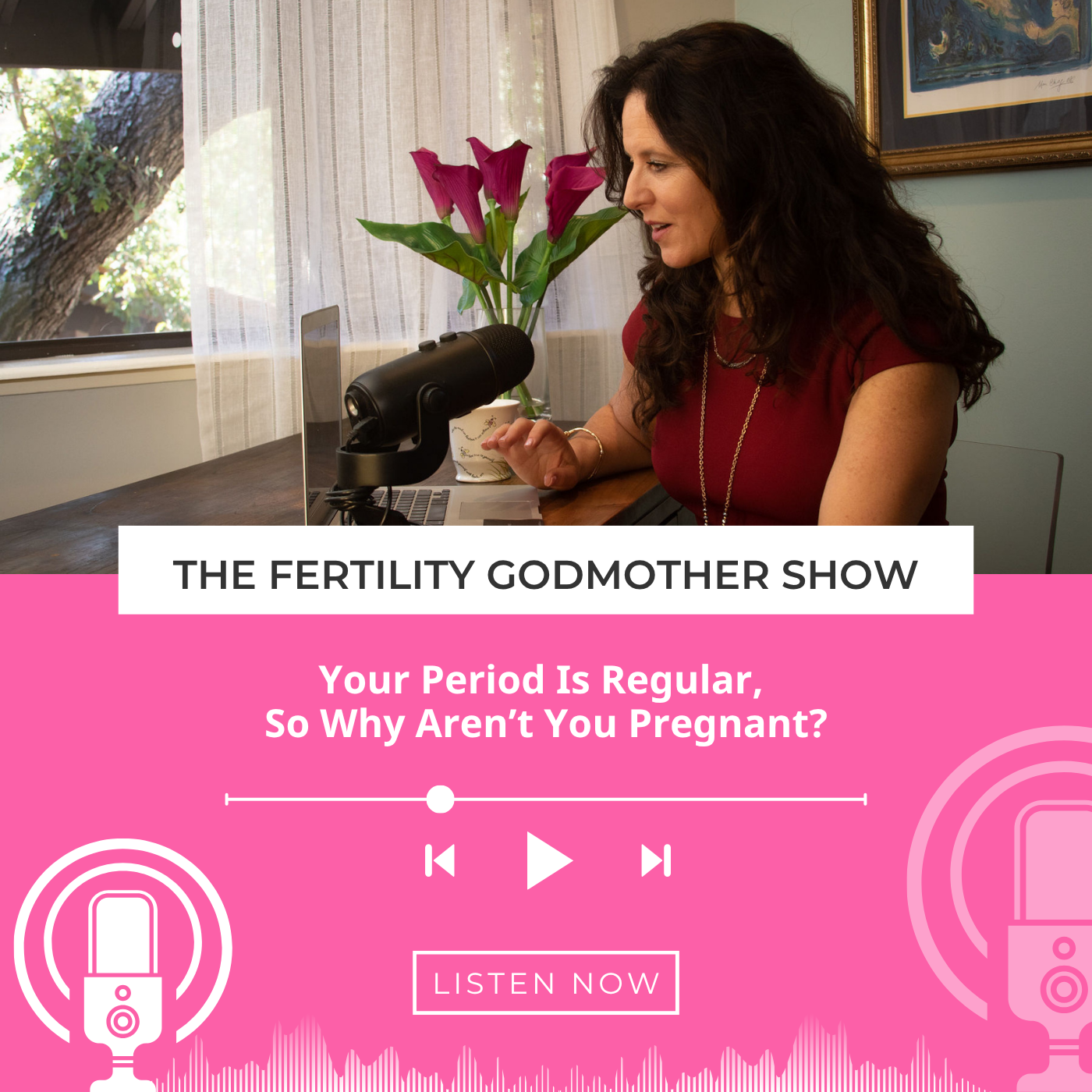 Your Period Is Regular, So Why Aren’t You Pregnant? episode artwork