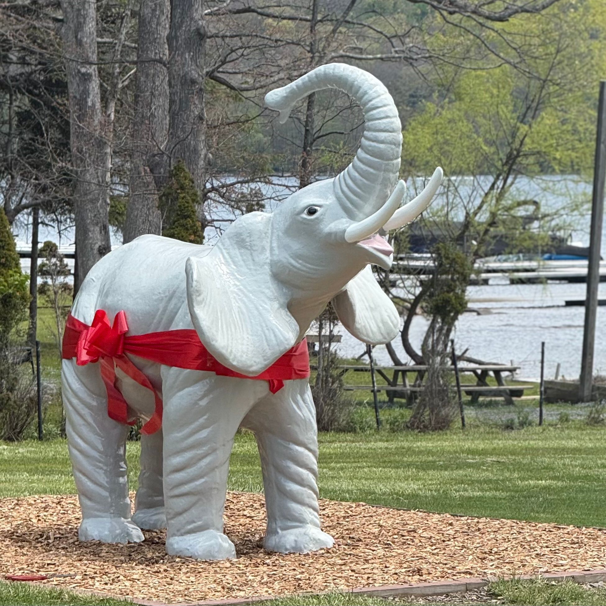 The Elephant on the Lawn episode artwork