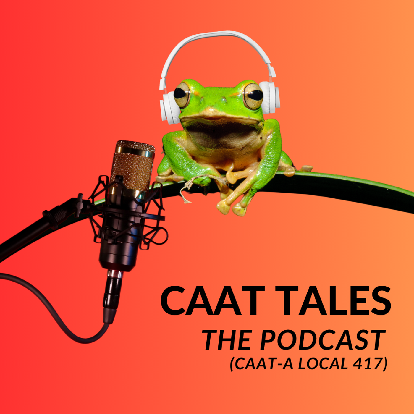 CAAT Tales (the podcast) podcast artwork