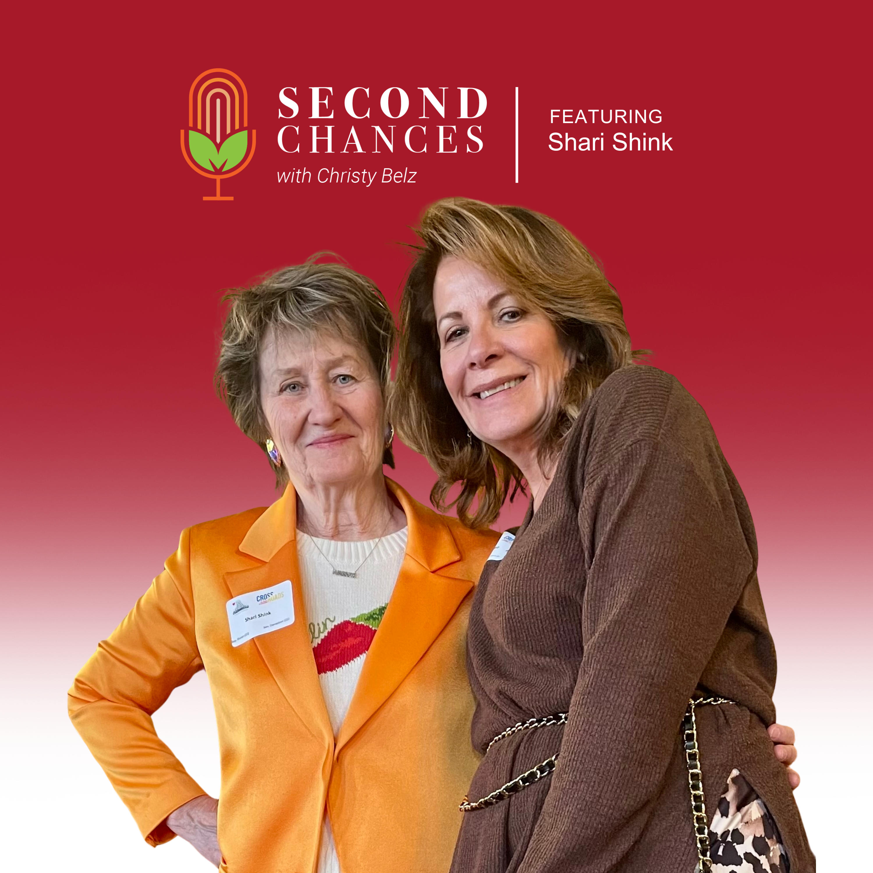 Shari Shink- From the Courtroom to Cobbled Streets episode artwork