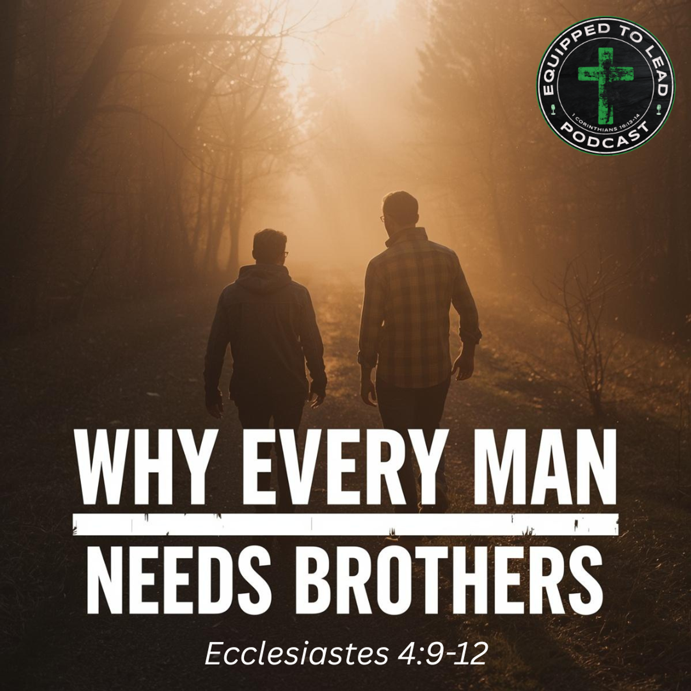 Ep 14 - Why Every Man Needs Brothers