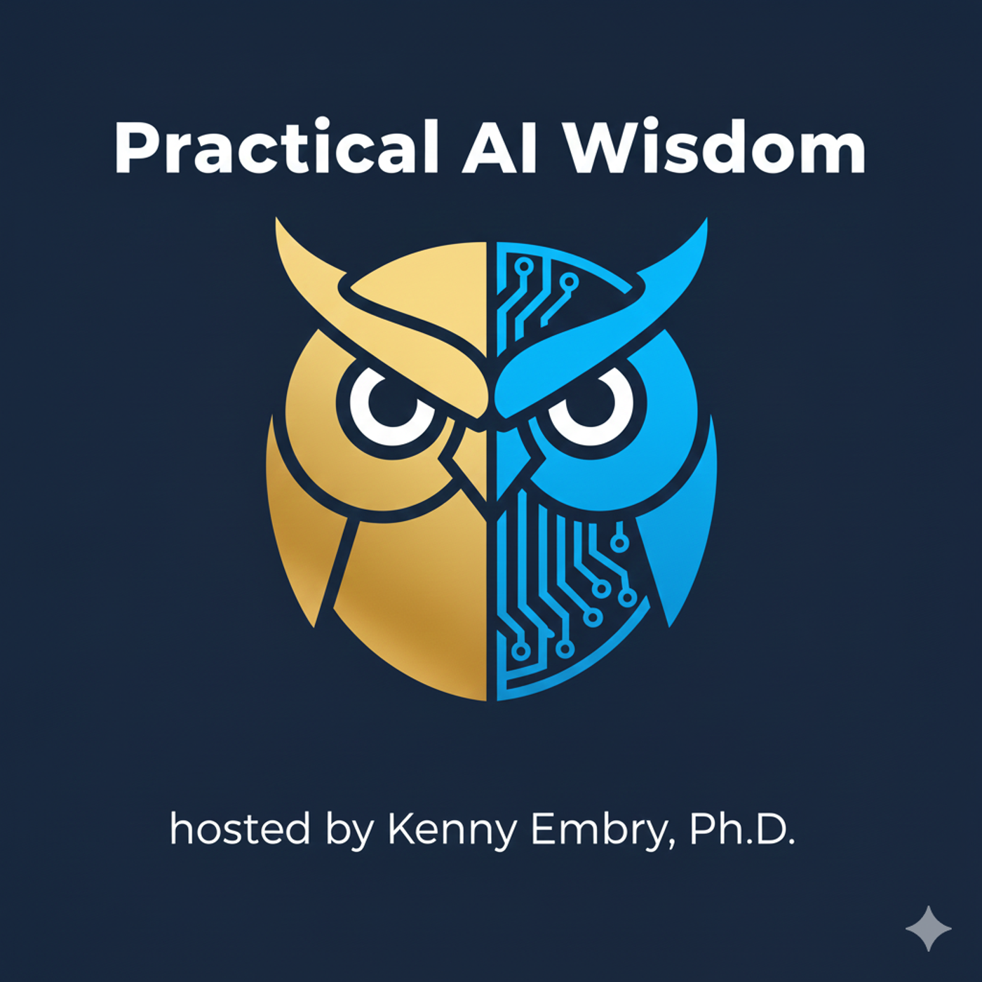 Practical AI Wisdom podcast artwork