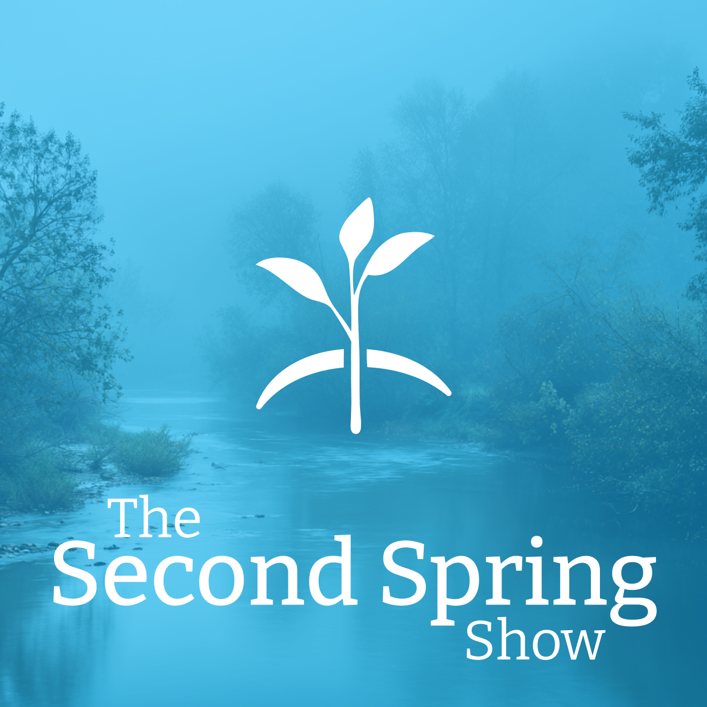 The Second Spring Show