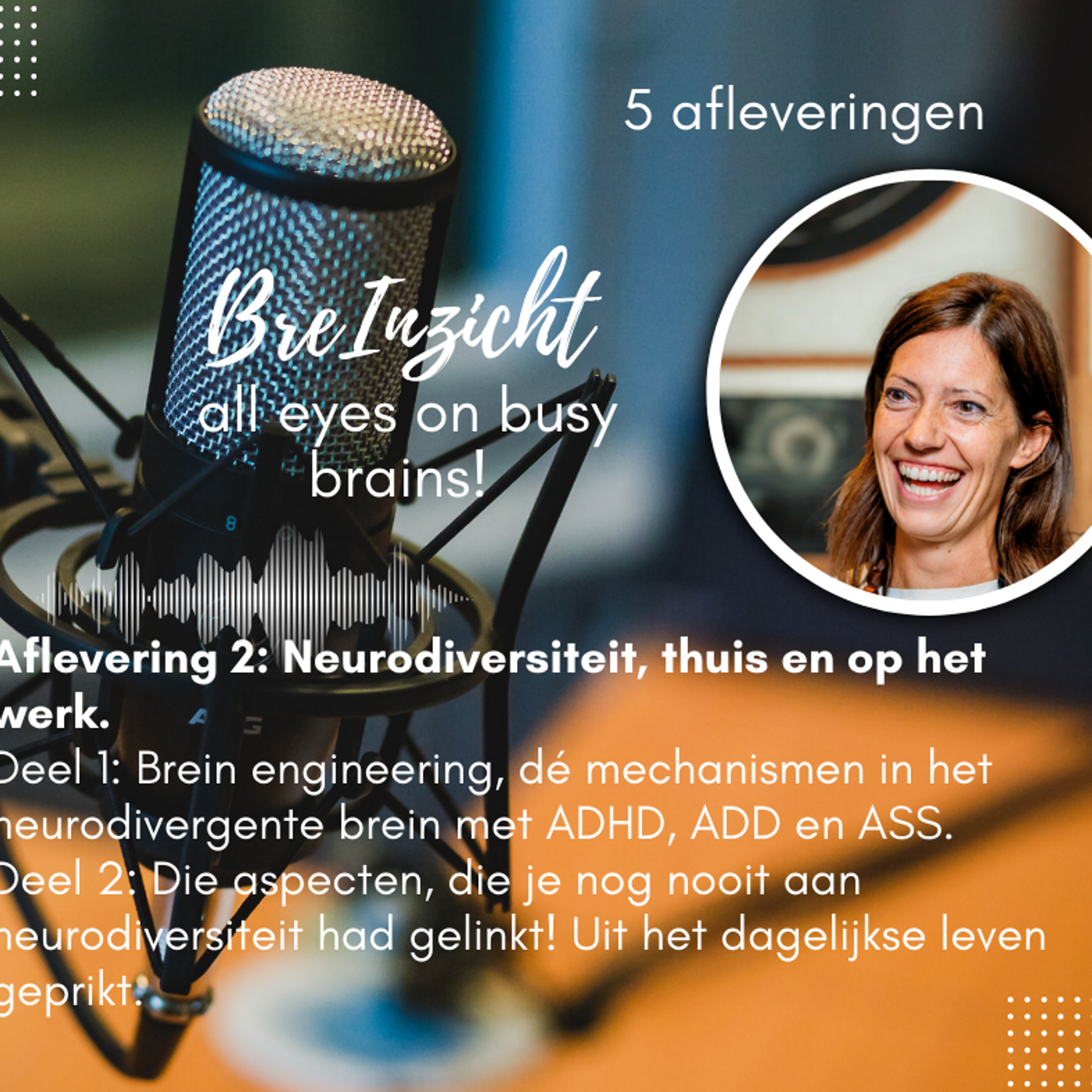 Afl 2, Deel 1. Neurodiversiteit, thuis en op het werk: D1 Brein-Engineering episode artwork