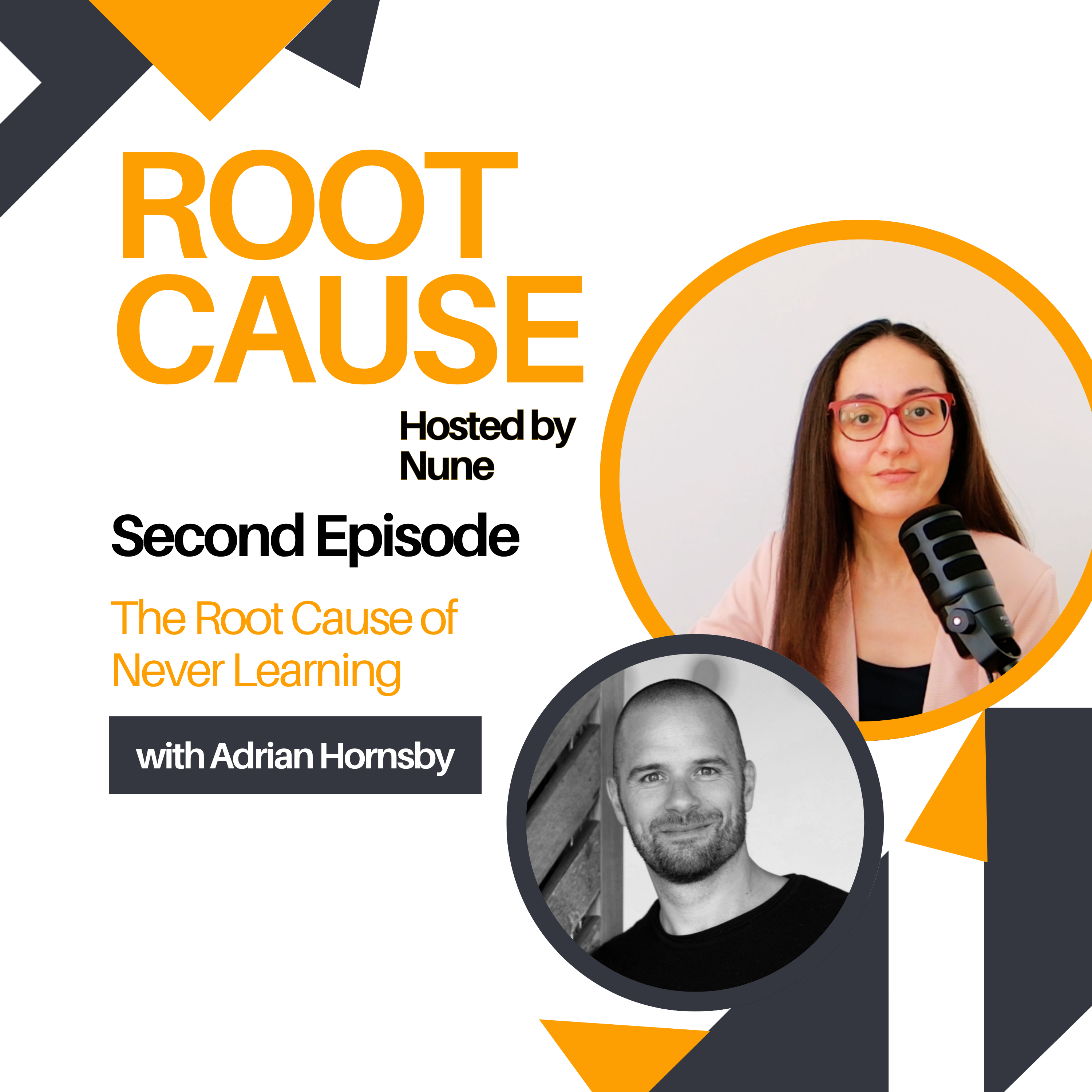 The Root Cause of Never Learning episode artwork