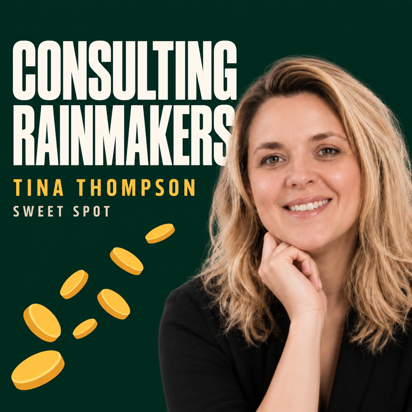 Consulting Rainmakers Podcast