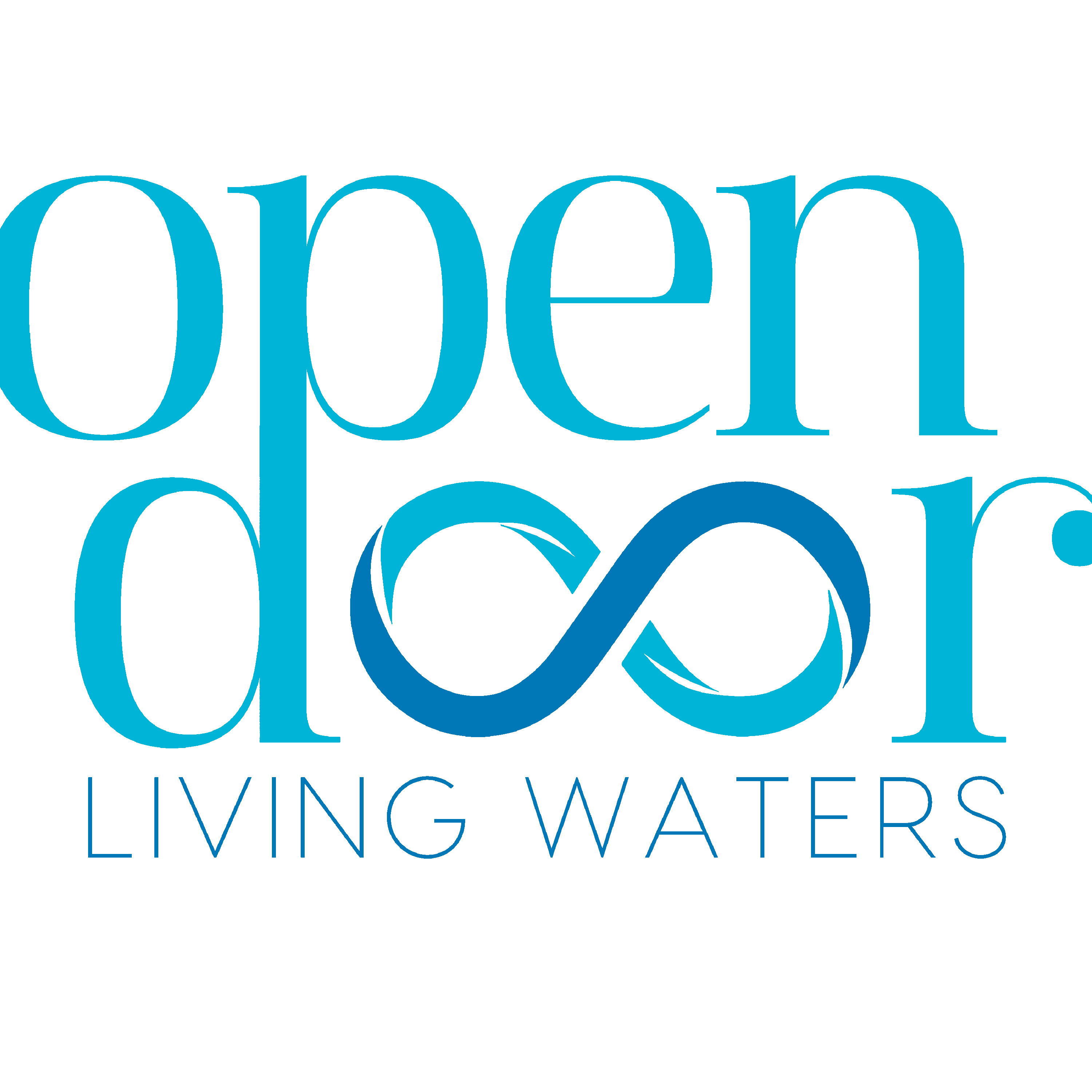 The Open Door