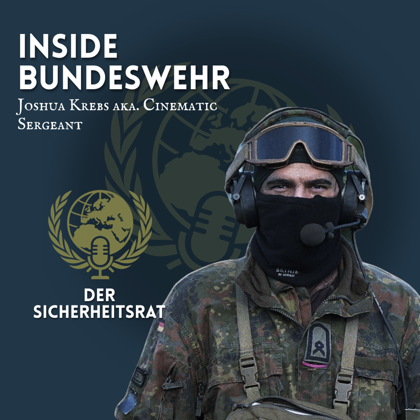 Der Sicherheitsrat