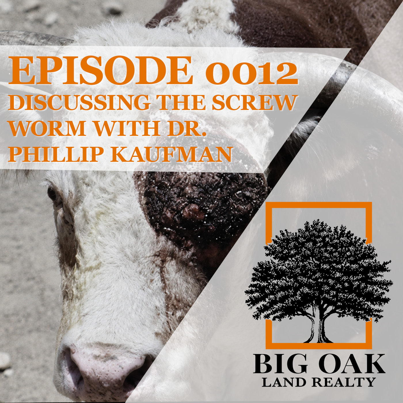 0012: Discussing the Screw Worm with Dr. Phillip Kaufman episode artwork