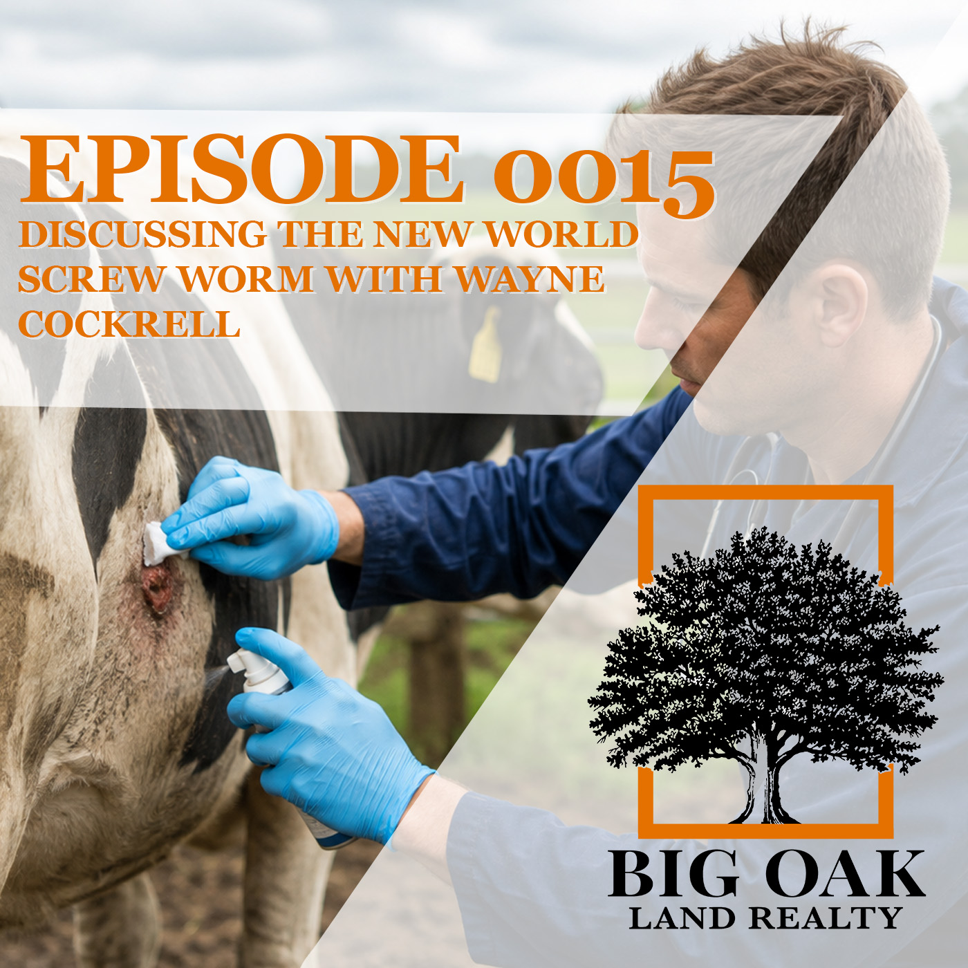 0015: Discussing the New World Screw Worm with Wayne Cockrell episode artwork