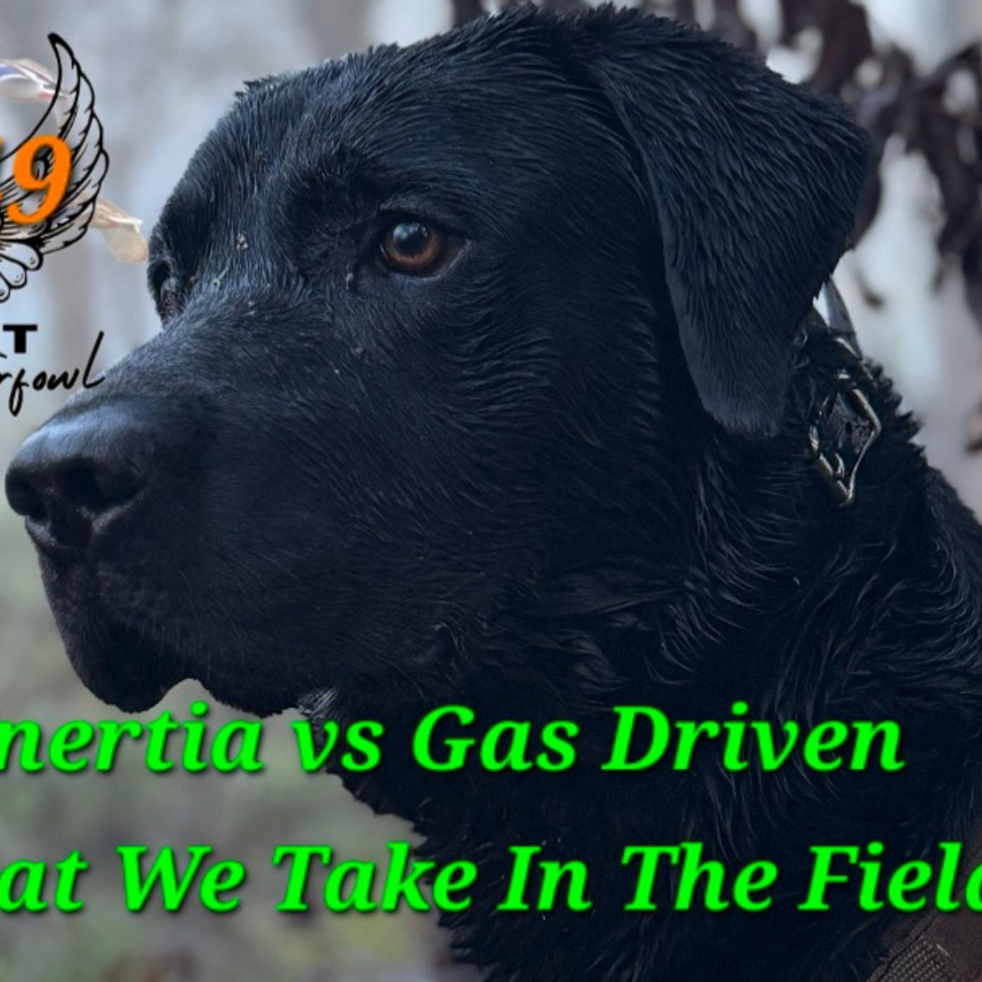 Ep. 49 Inertia vs Gas Driven
What We Take In The Field episode artwork
