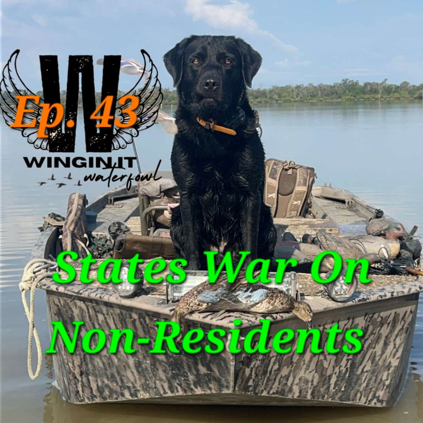 Ep. 43 States War on Non-Residents episode artwork