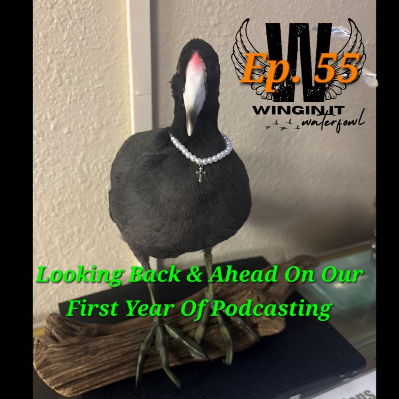 Ep. 55 Looking Back & Ahead On Our First Year Of Podcasting episode artwork