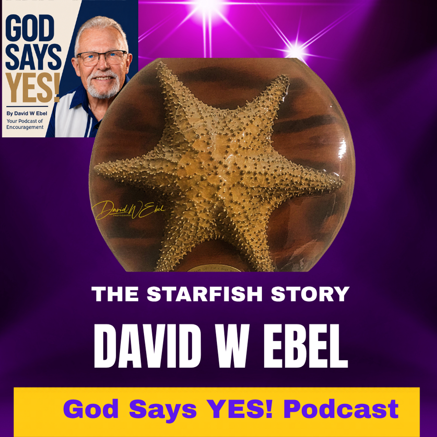 Starfish Story Clip episode artwork