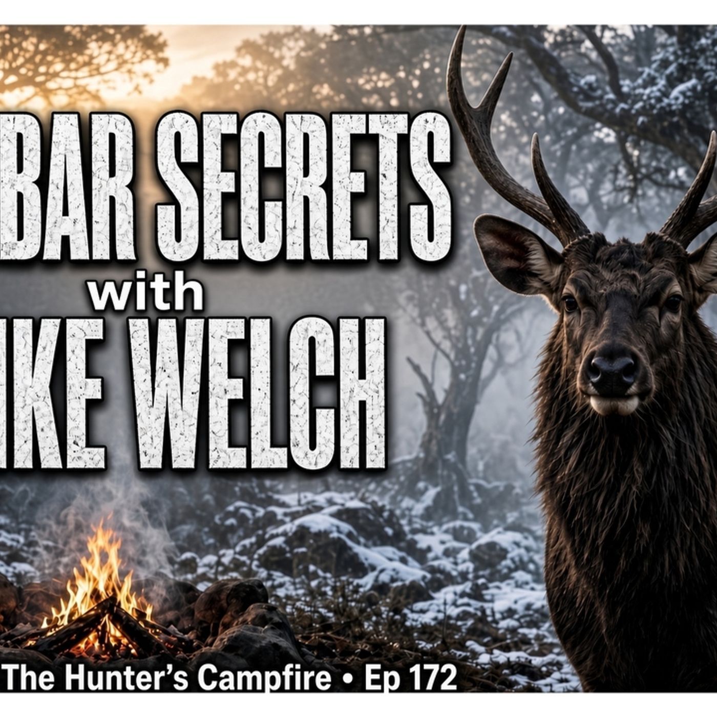 HCP - EP172 - 40 Years of Sambar Lessons with Mike Welch episode artwork