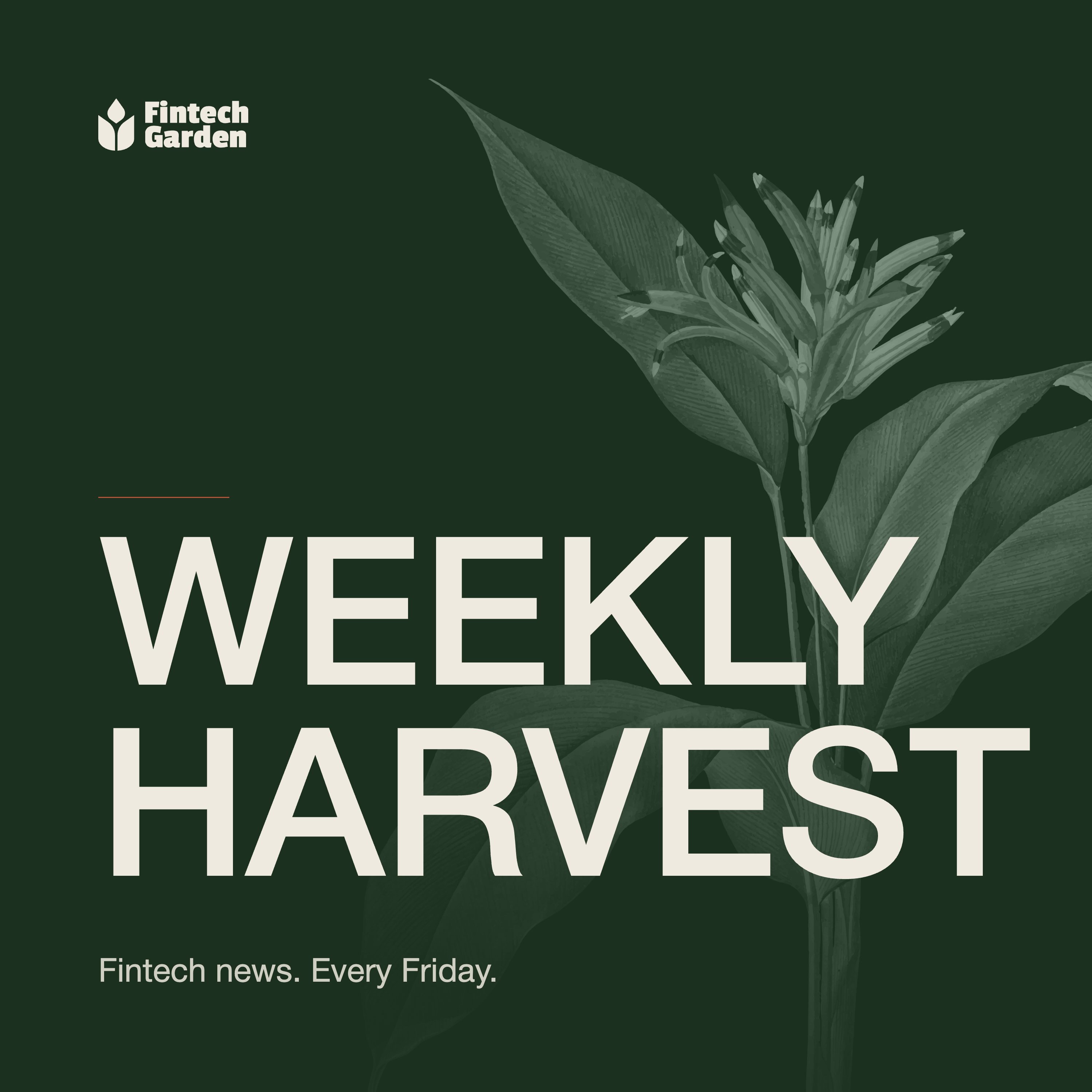 Weekly Harvest