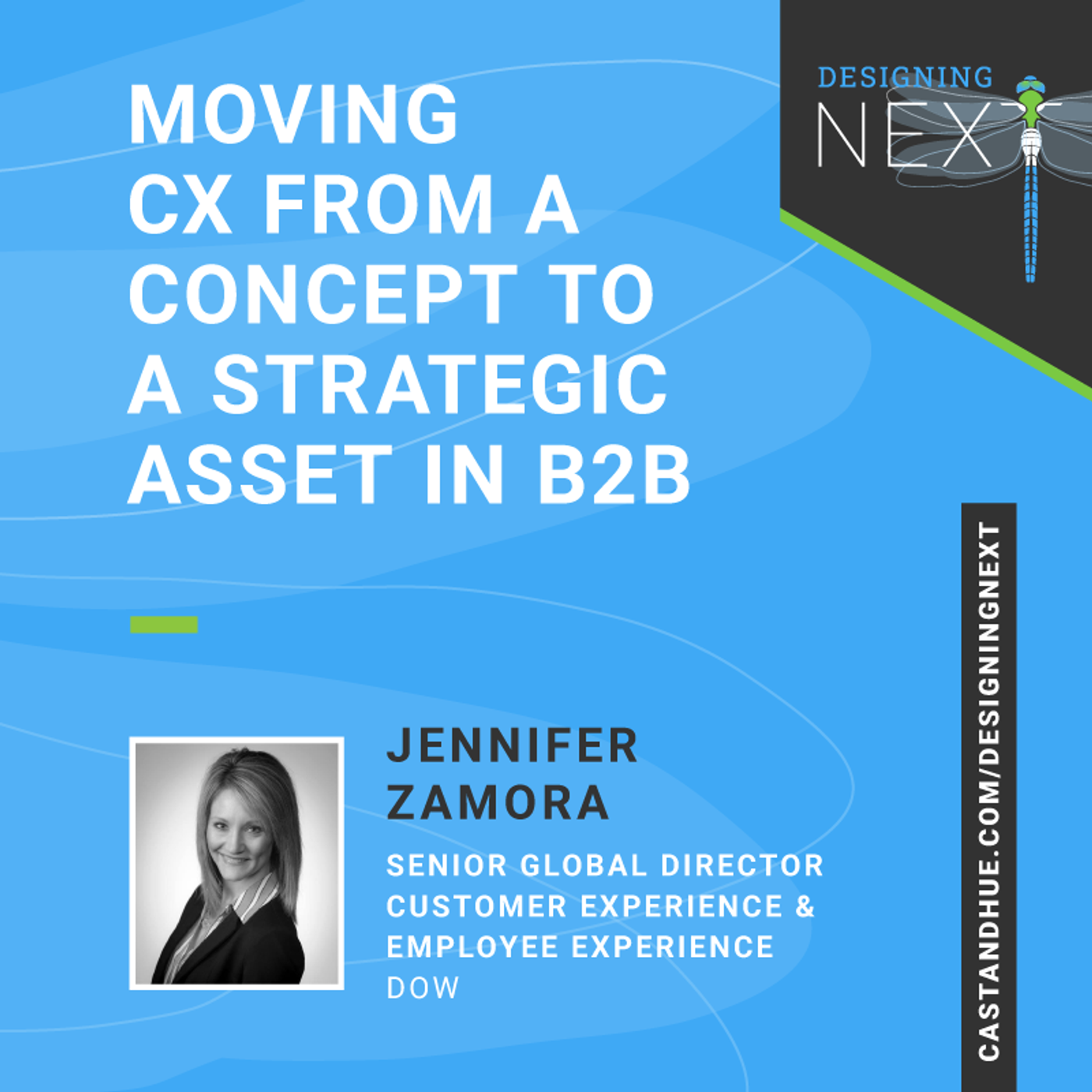 [RE-RELEASE] Moving CX From a Concept to a Strategic Asset in B2B episode artwork