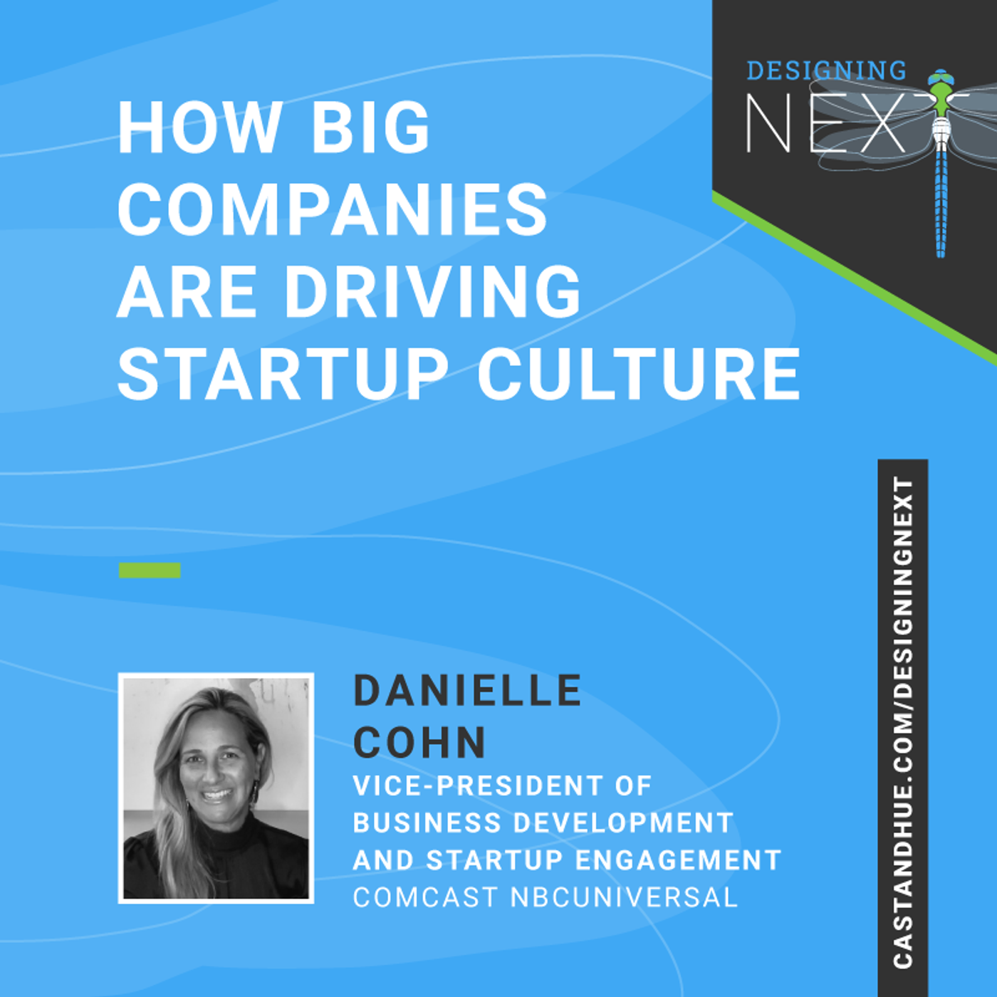 [RE-RELEASE] How Big Companies are Driving Startup Culture episode artwork