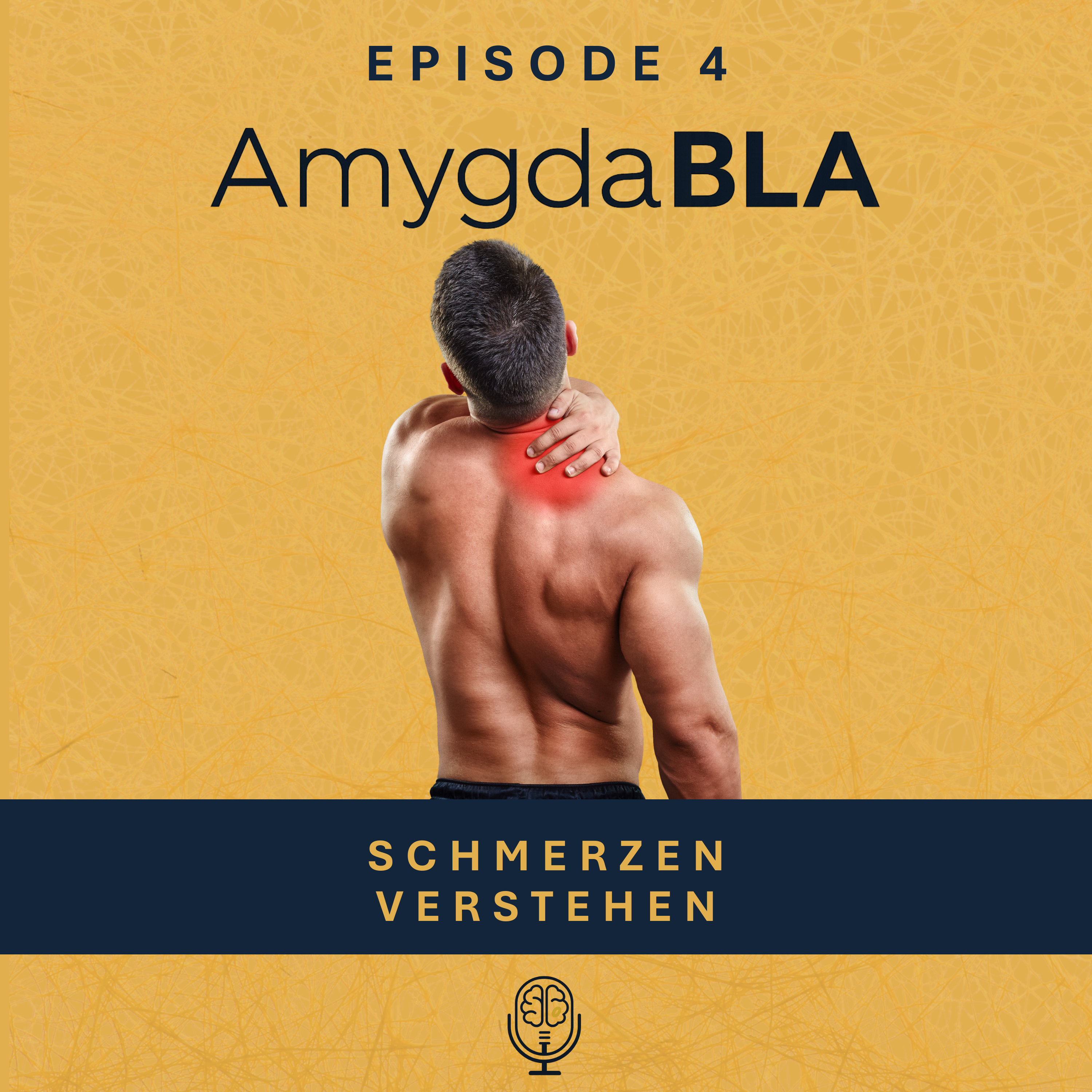 Schmerzen verstehen episode artwork