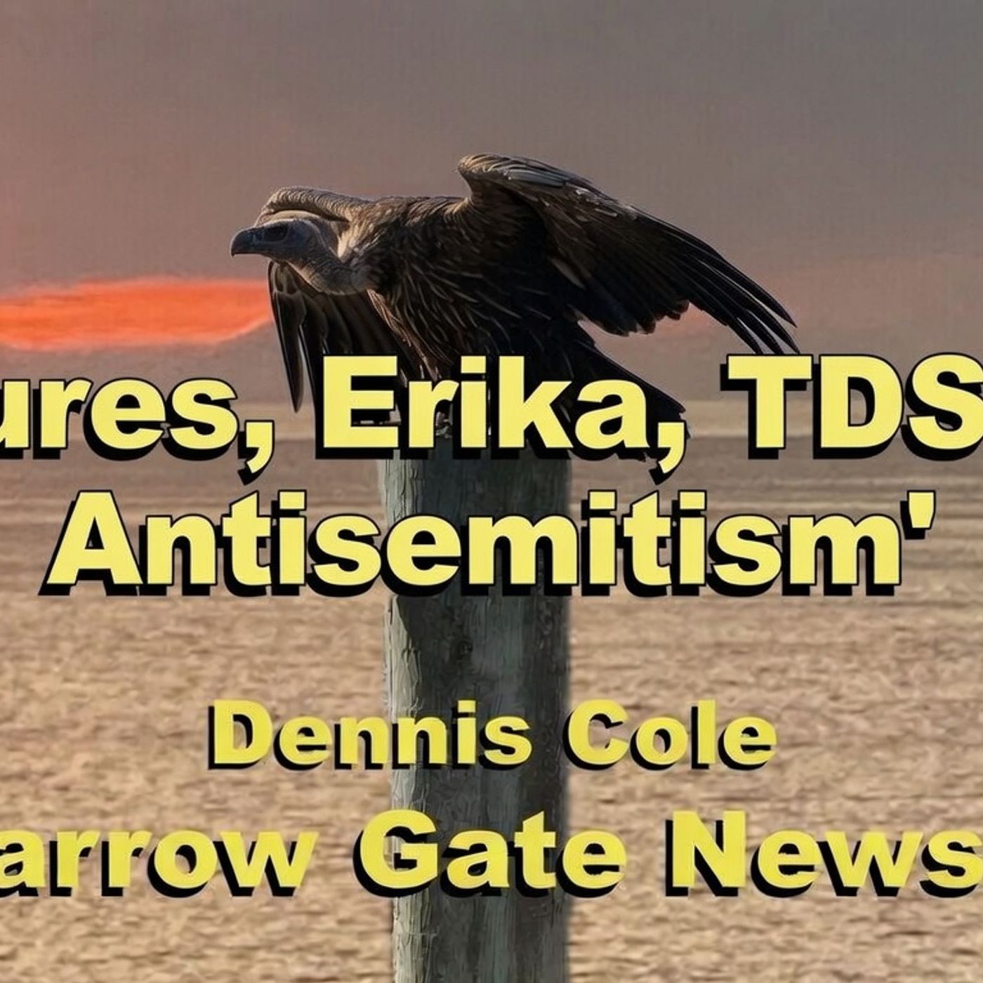 Vultures, Erika, TDS, And Antisemitism episode artwork