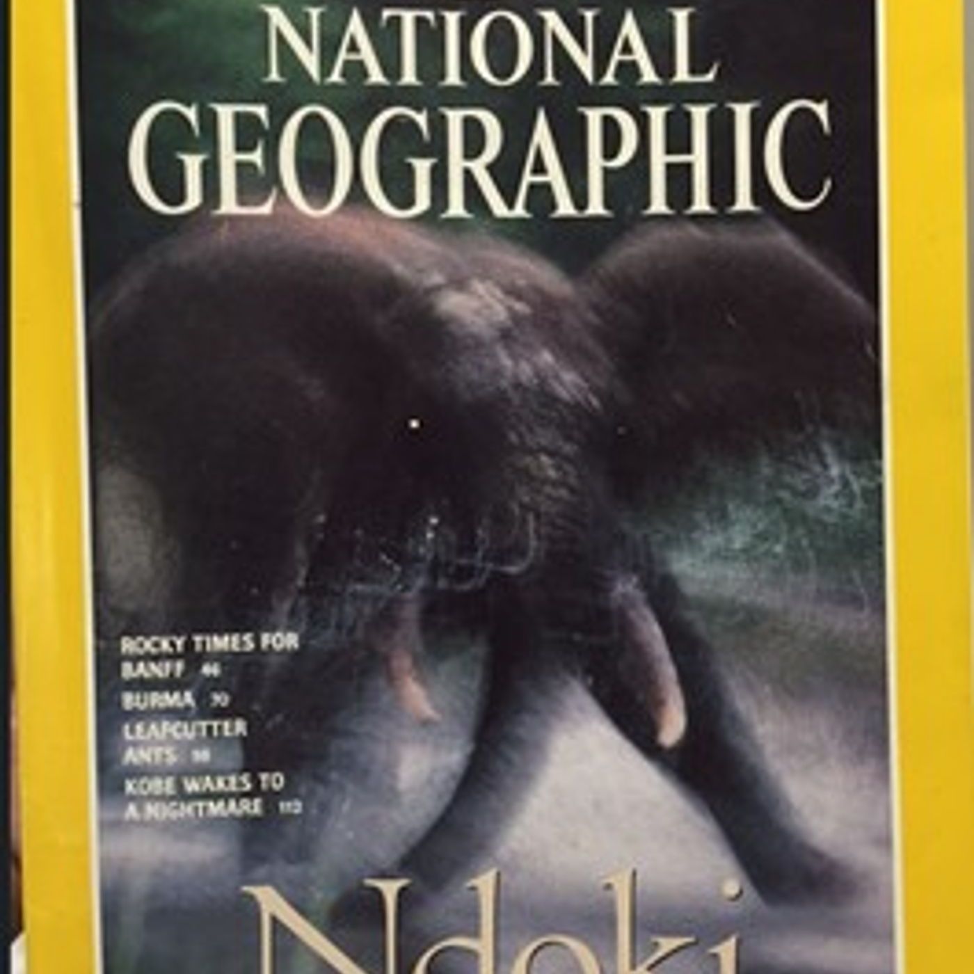 The story of the Lockwood AirCam developed to photograph the Ndoka Rainforest in the African Congo episode artwork