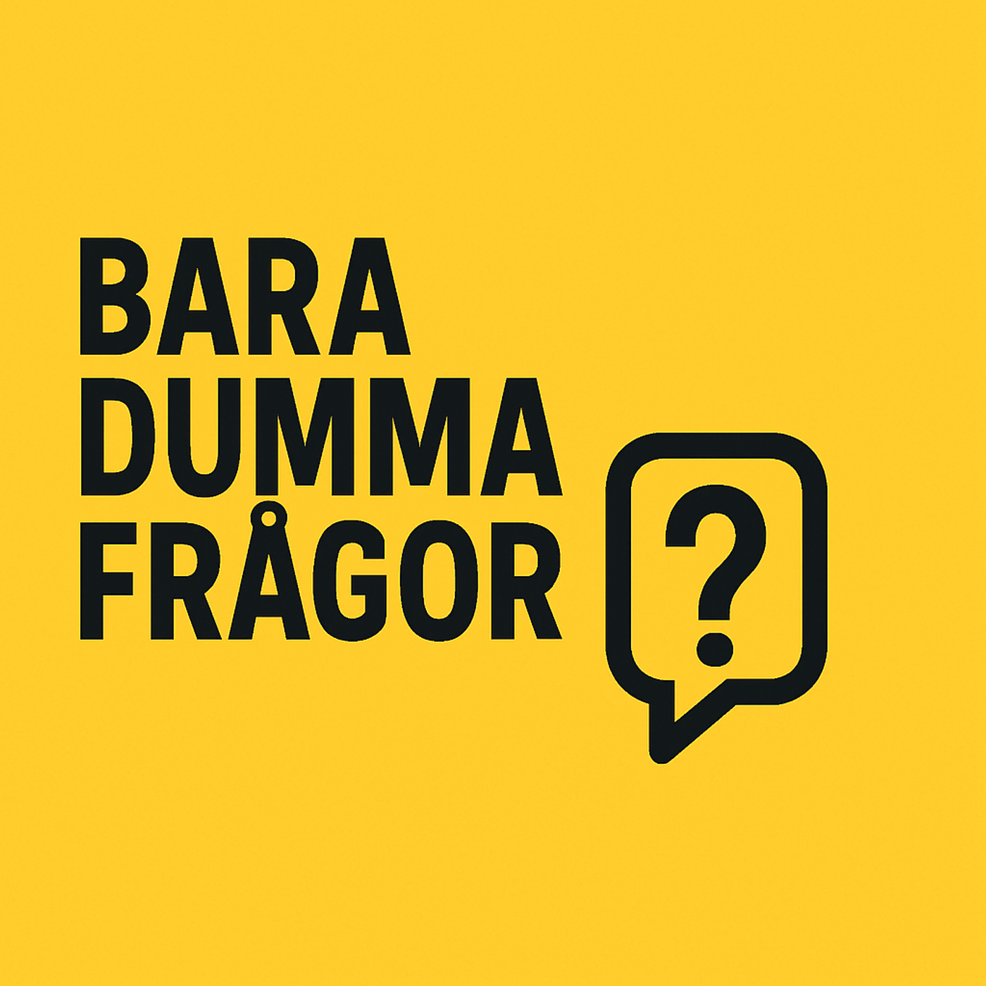 Bara Dumma Frågor!