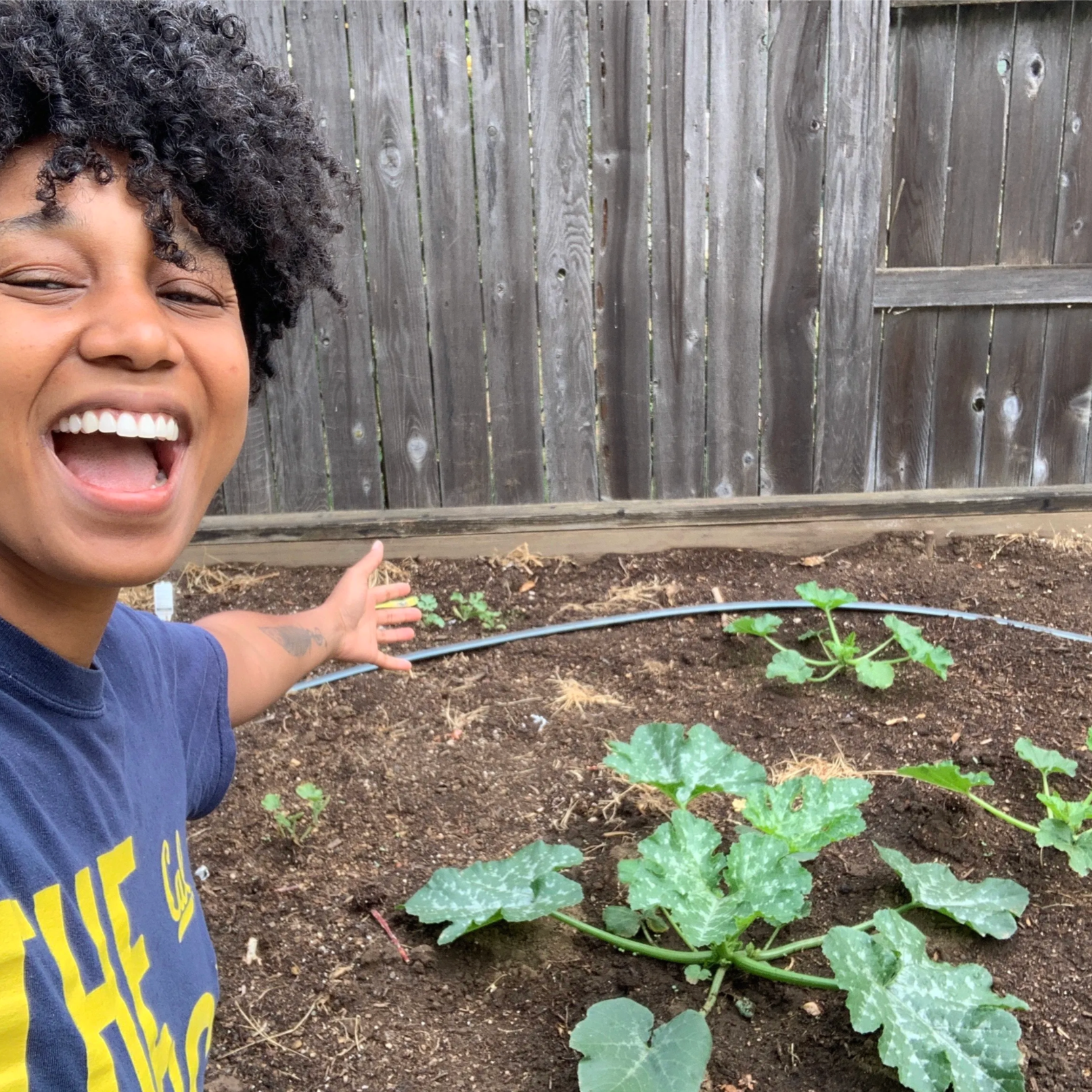The Community Garden Podcast podcast artwork