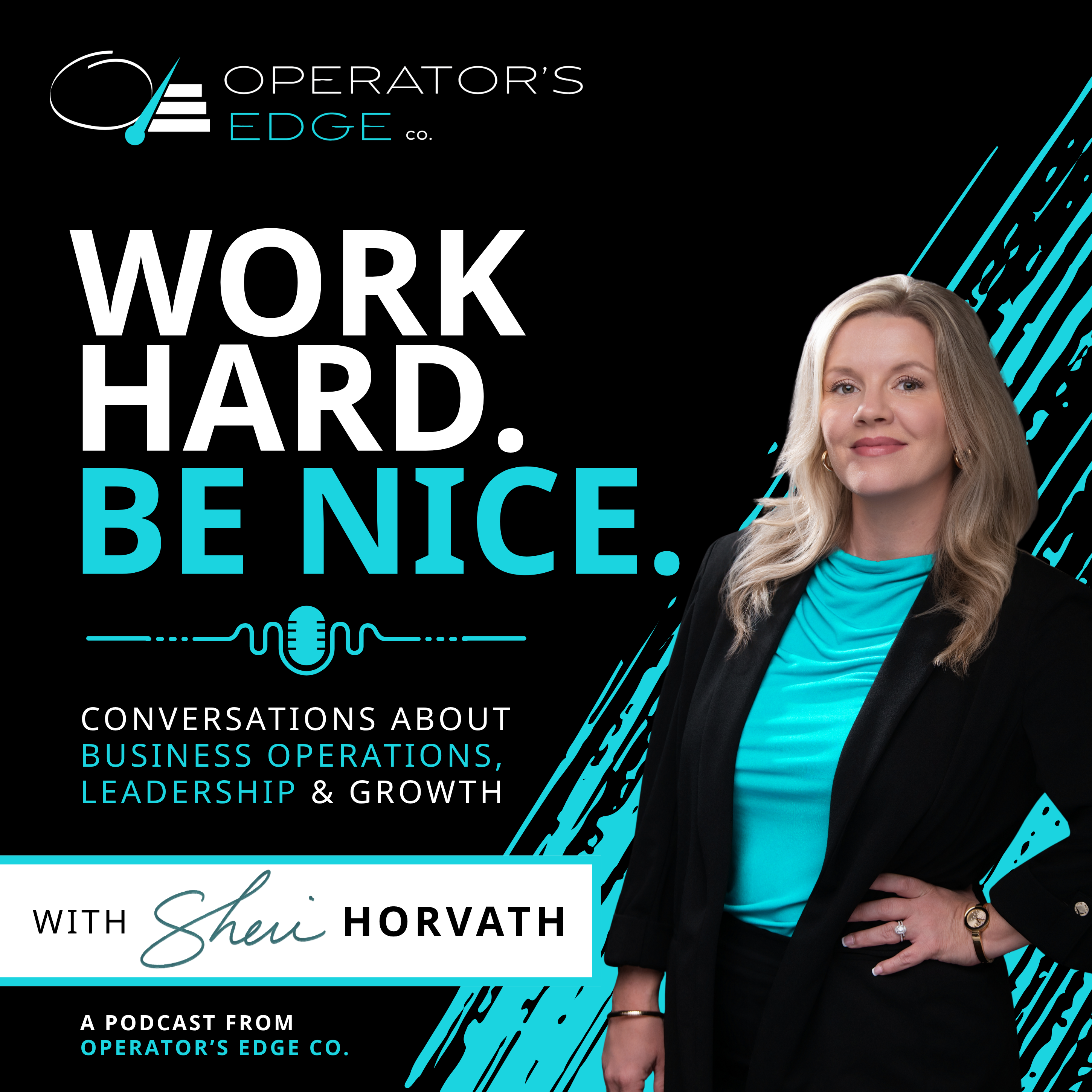 Artwork for Work Hard. Be Nice.
