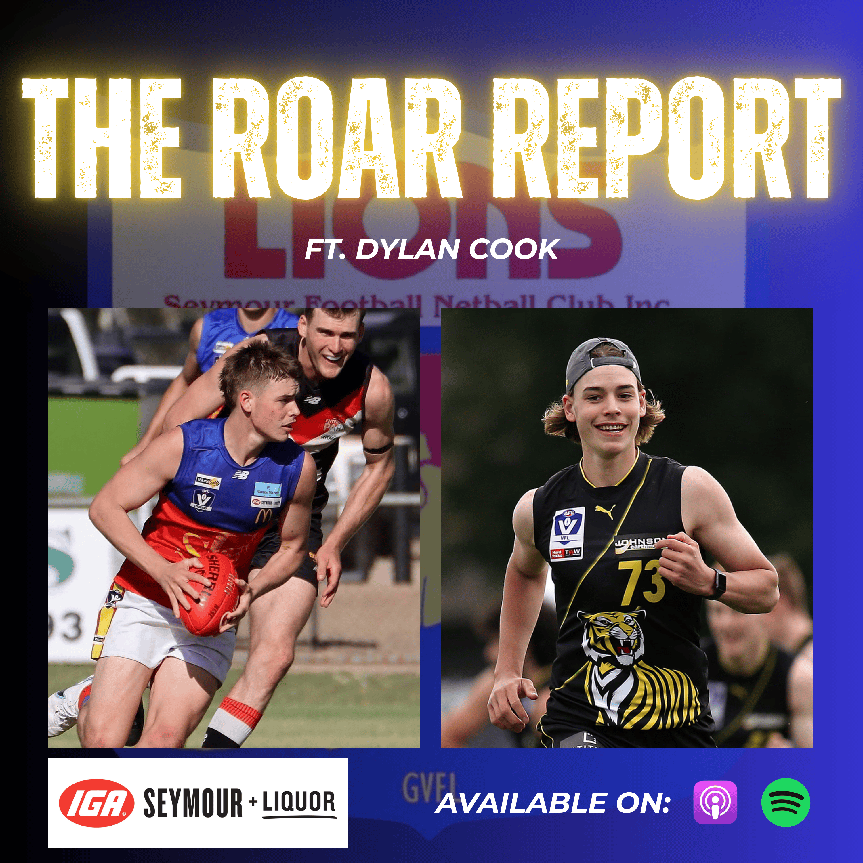 The Roar Report - ft. Dylan Cook episode artwork