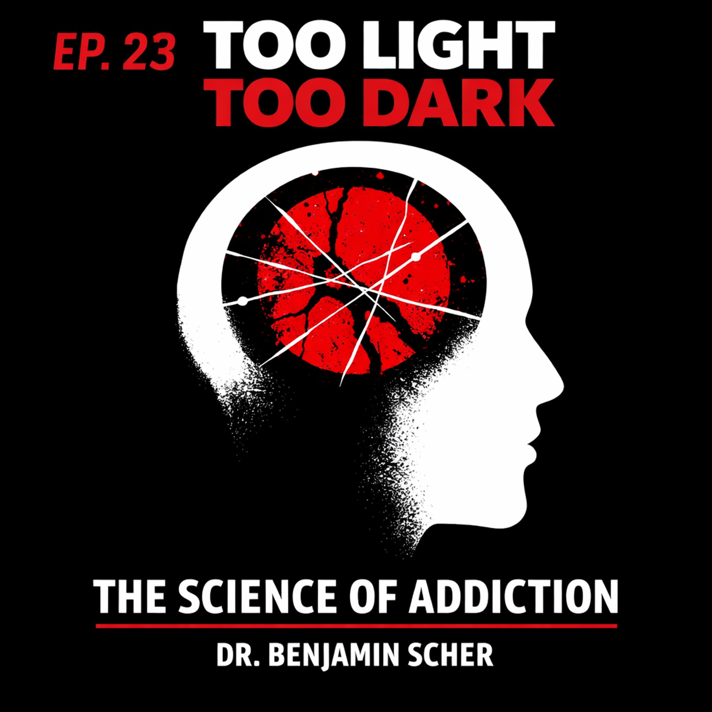 #23 - The Science of Addiction and Harm Reduction - Dr Benjamin D.Scher episode artwork