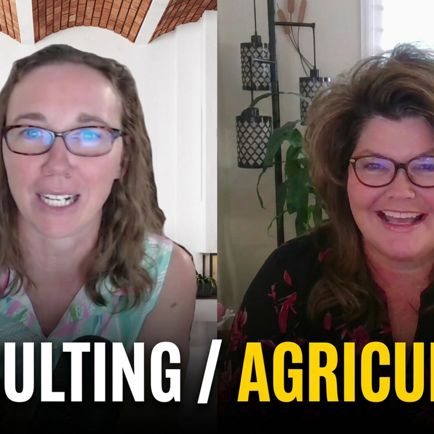 42: Amy Myrdal Miller MS, RDN, FAND - CONSULTING / AGRICULTURE episode artwork