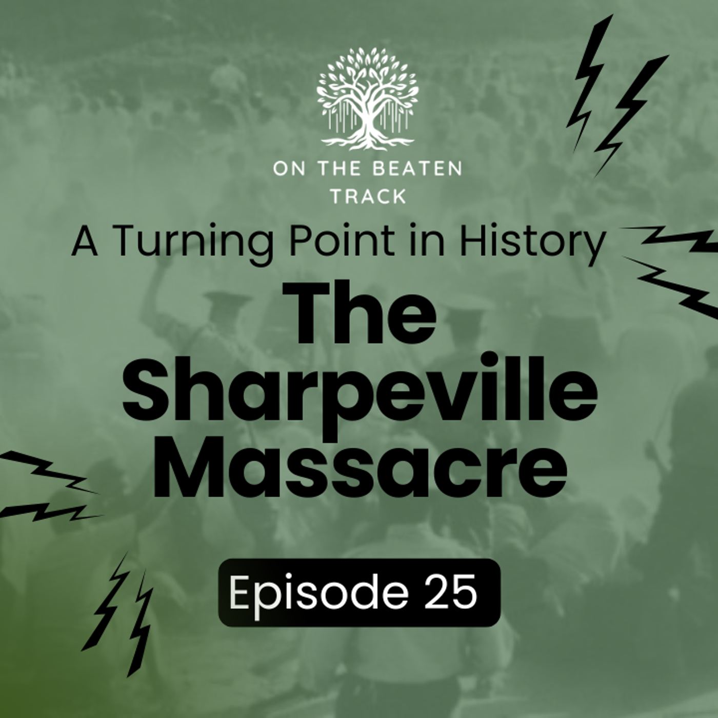 Sharpeville Massacre : A Turning Point in History