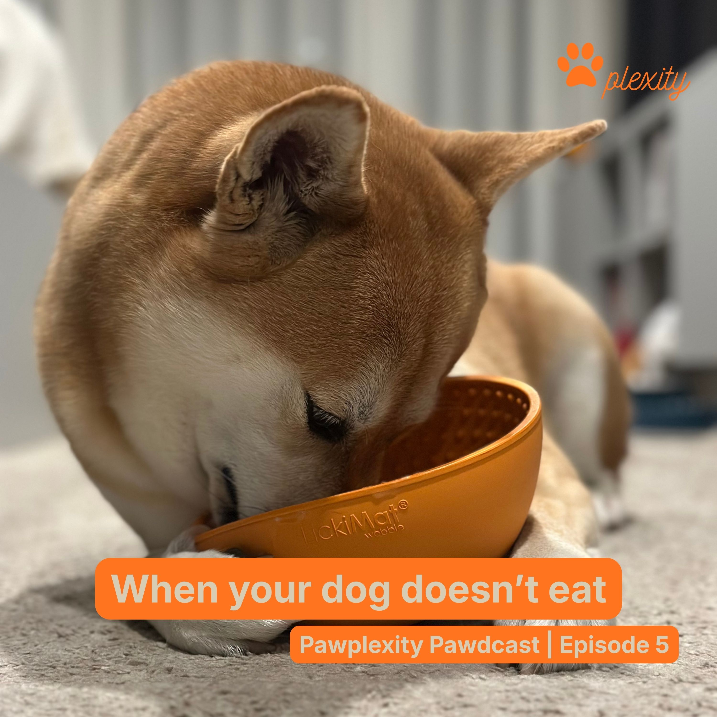 E5: When your dog doesn't eat episode artwork