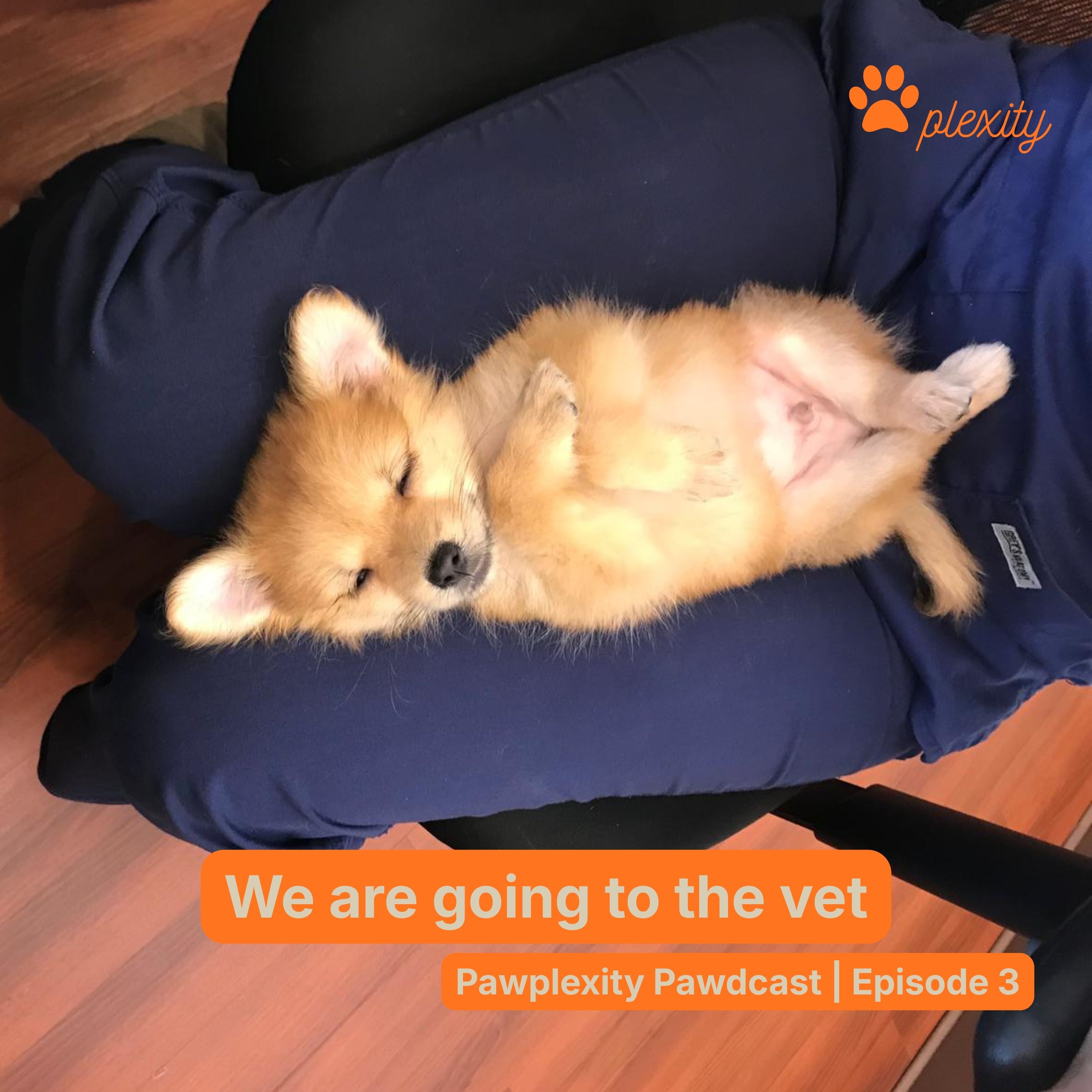 E3: We are going to the vet episode artwork