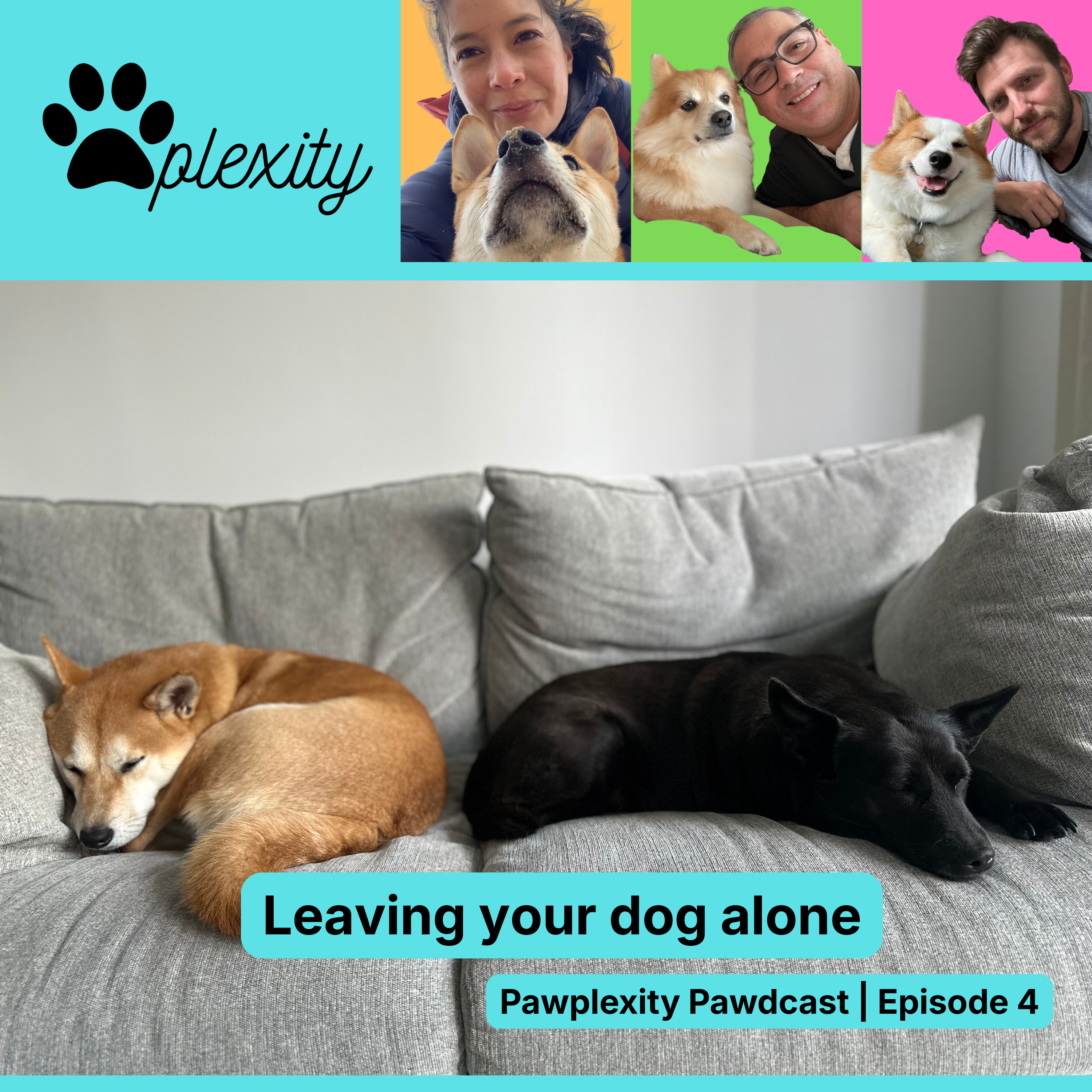 Artwork for Pawplexity Pawdcast